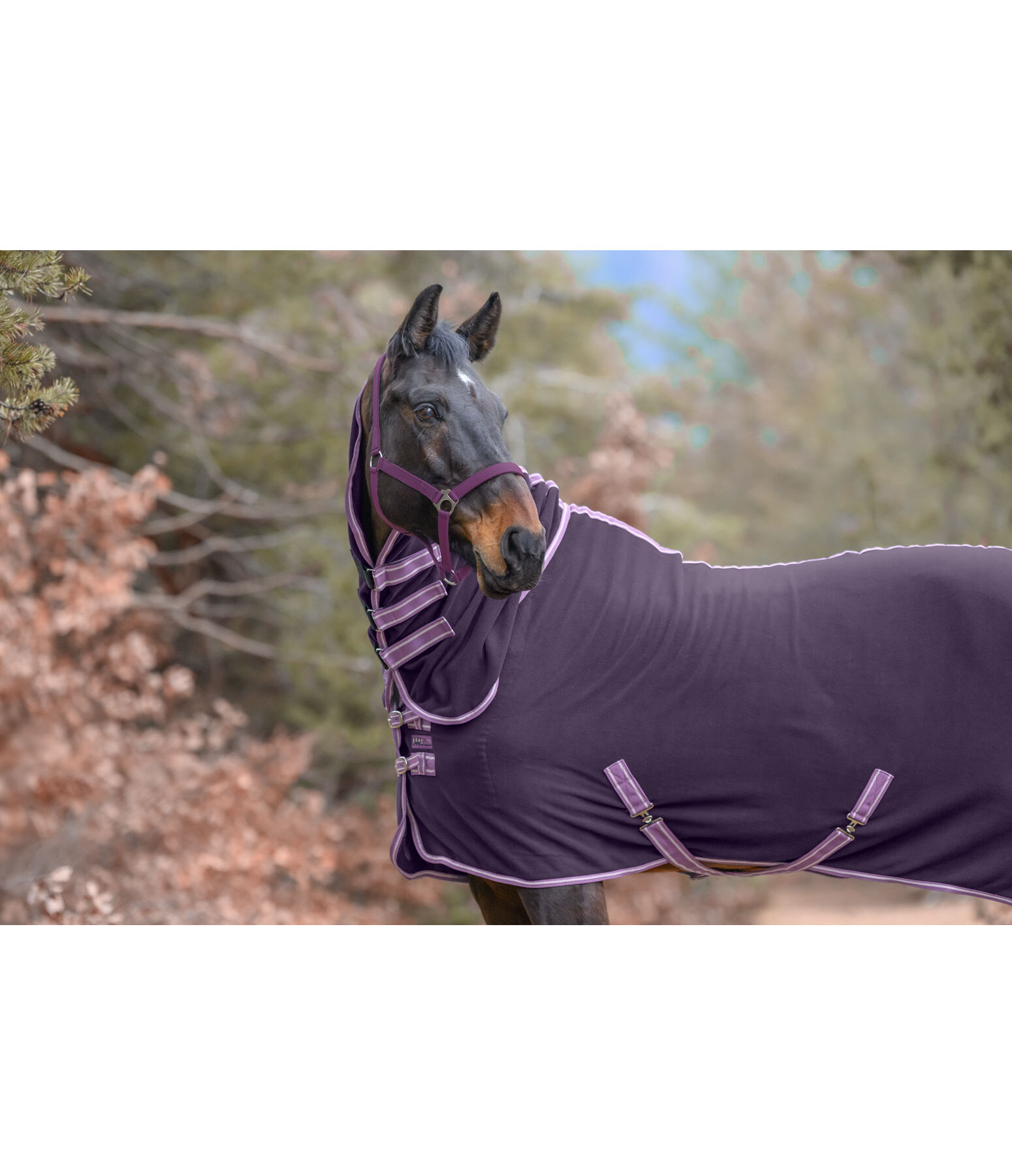 Activity Fleece Rug with Roll-up Neck Piece