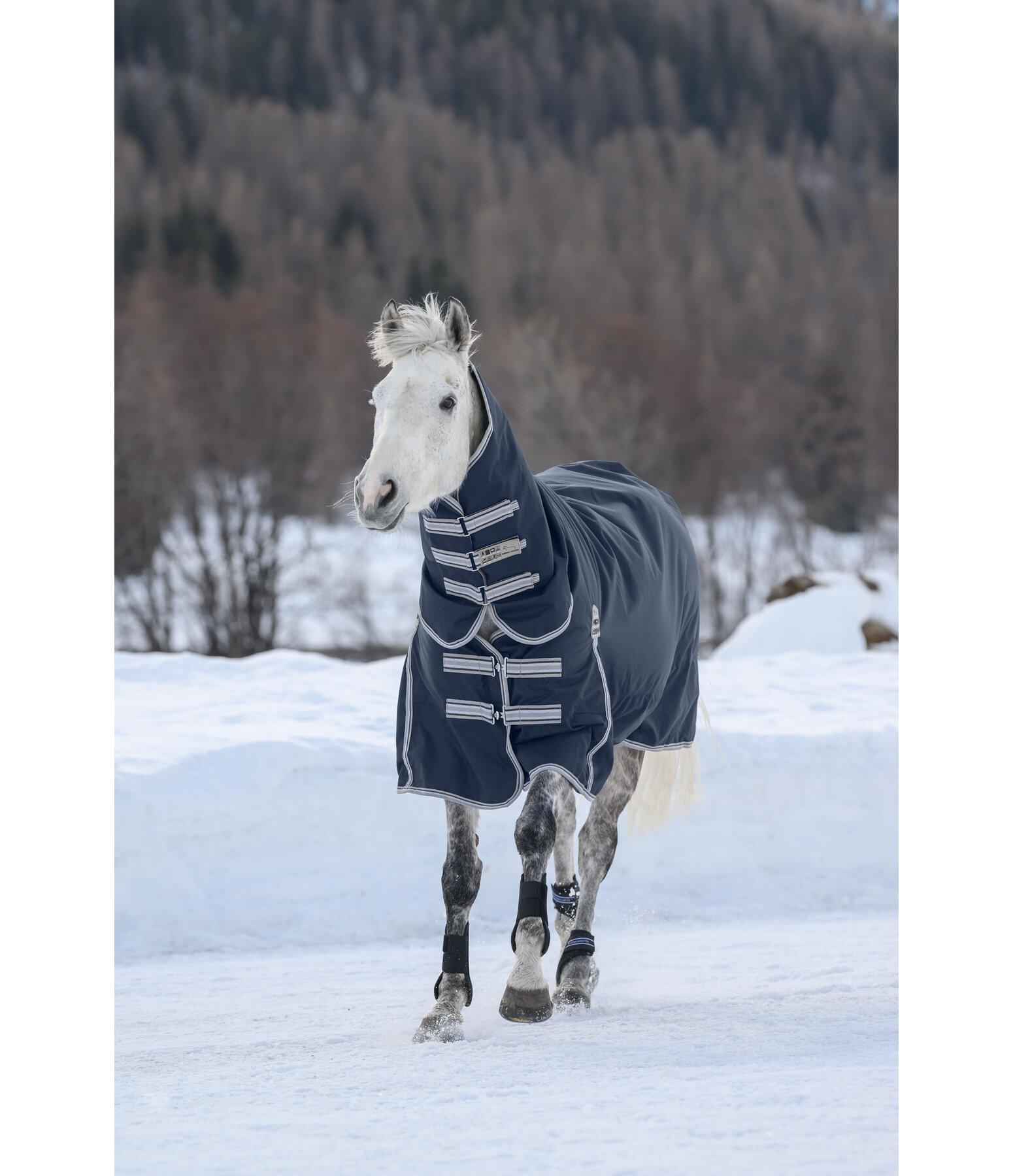 Turnout Rug Kadir Full Neck, 50g