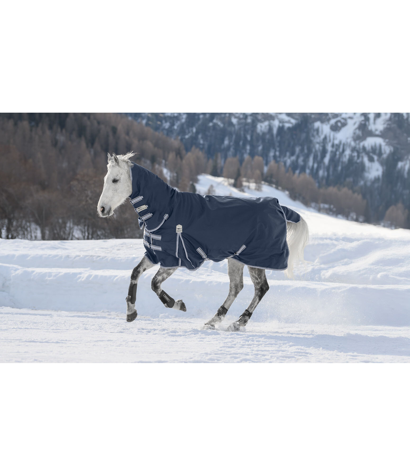 Turnout Rug Kadir Full Neck, 50g