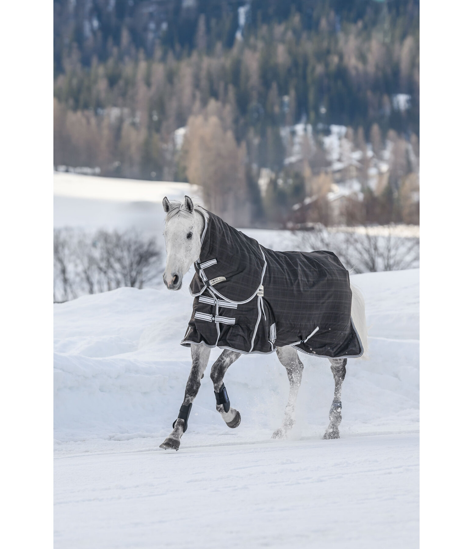 Turnout Rug Kadir Special Edition Incl. Detachable Neck Piece, 100g