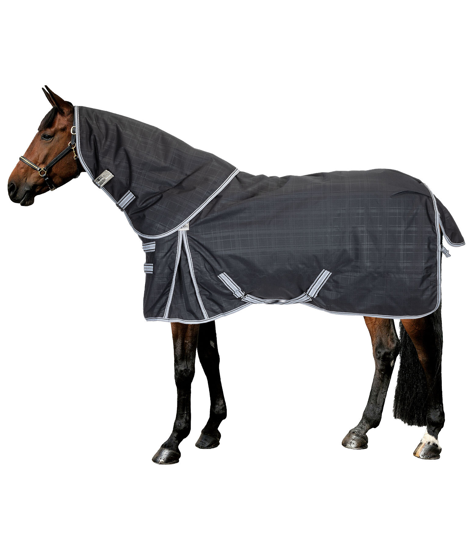 Turnout Rug Kadir Special Edition Including Detachable Neck Piece, 250g