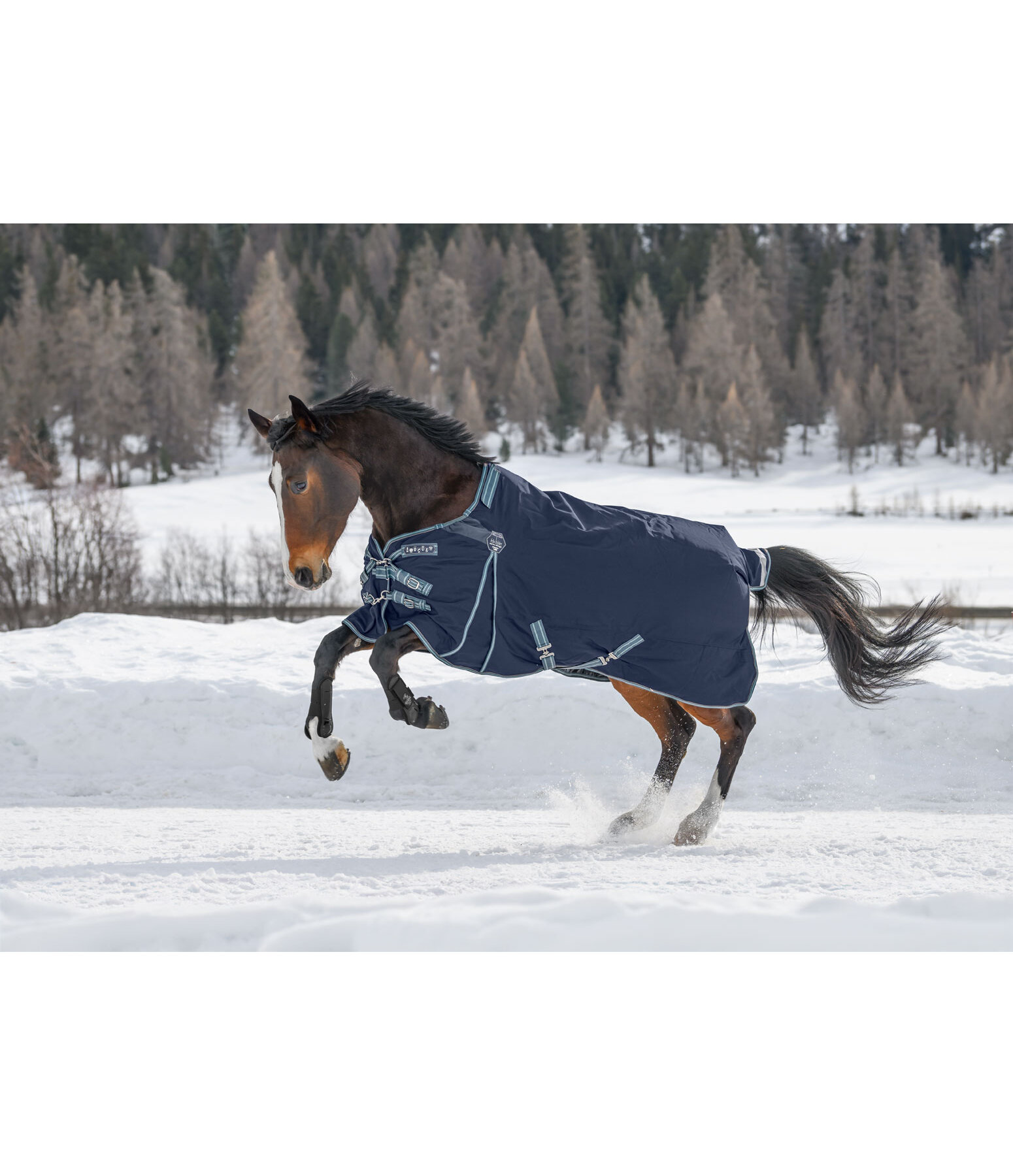 Regular Neck Turnout Rug Perfect Fit Nylon PRO, 200g