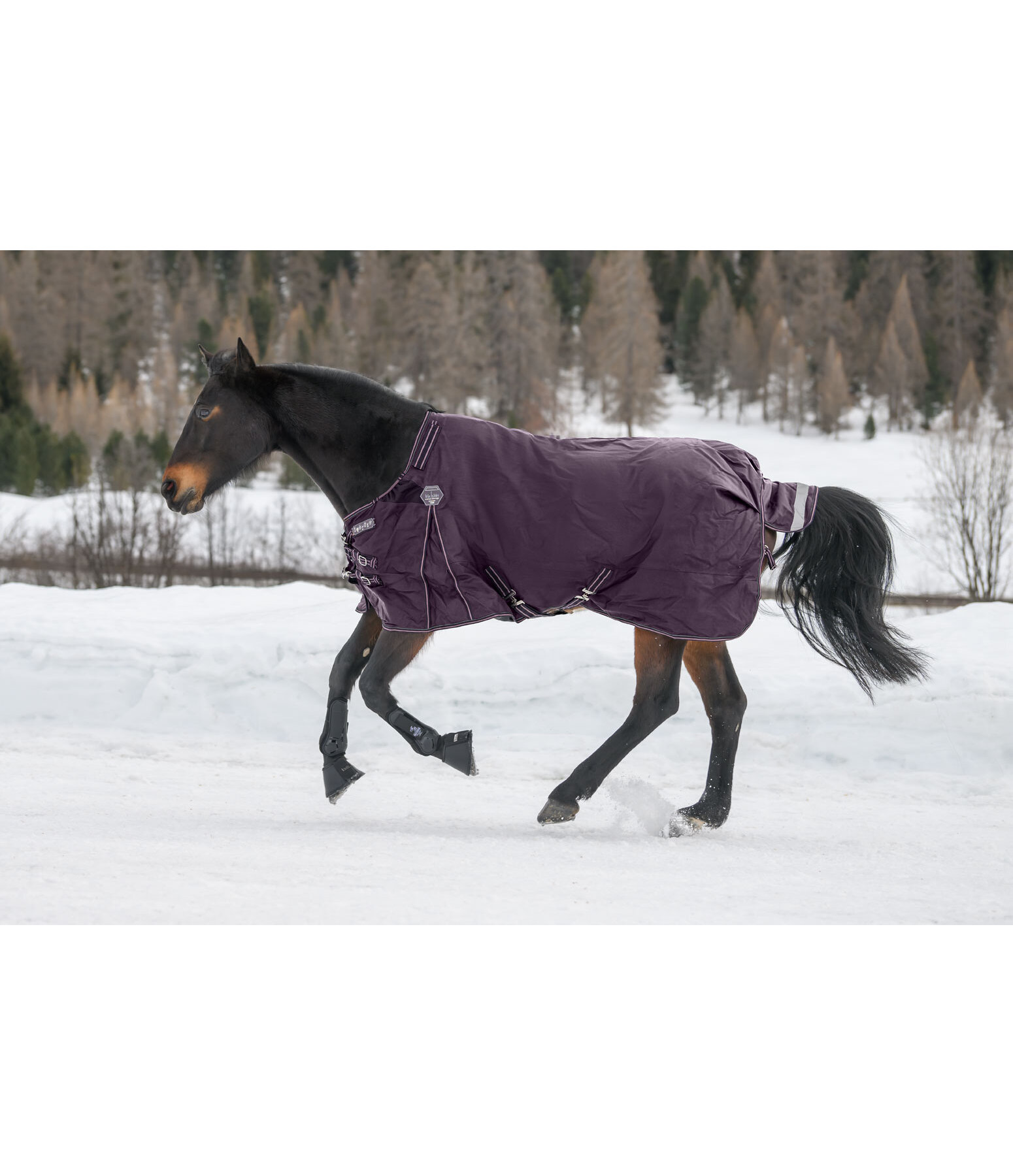 Regular Neck Turnout Rug Perfect Fit Nylon PRO, 0g