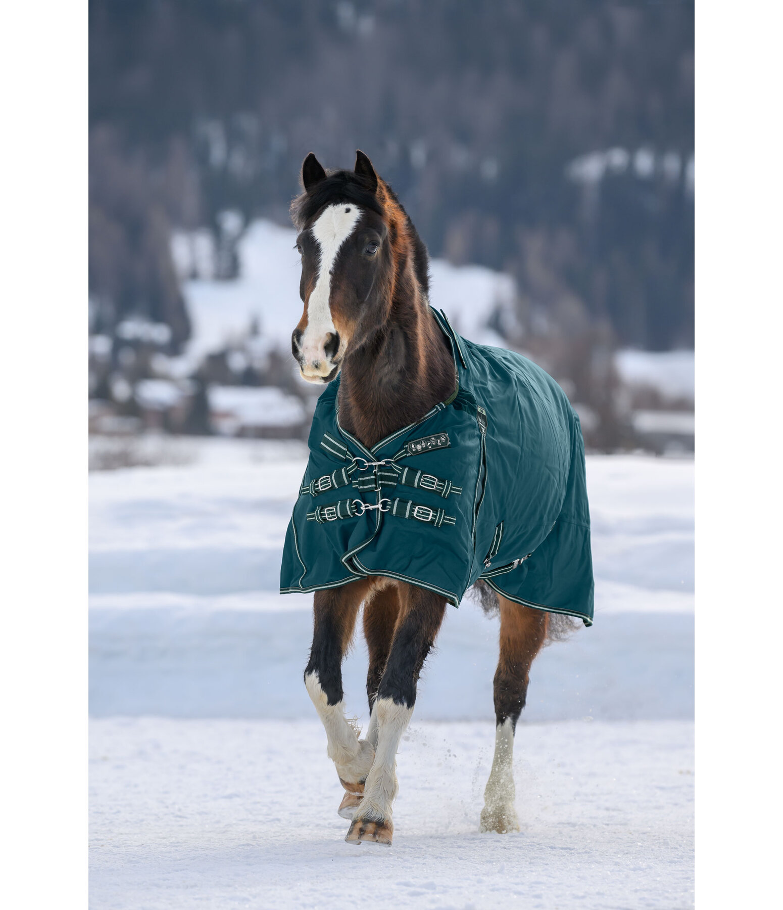 Regular Neck Turnout Rug Perfect Fit Nylon PRO, 200g