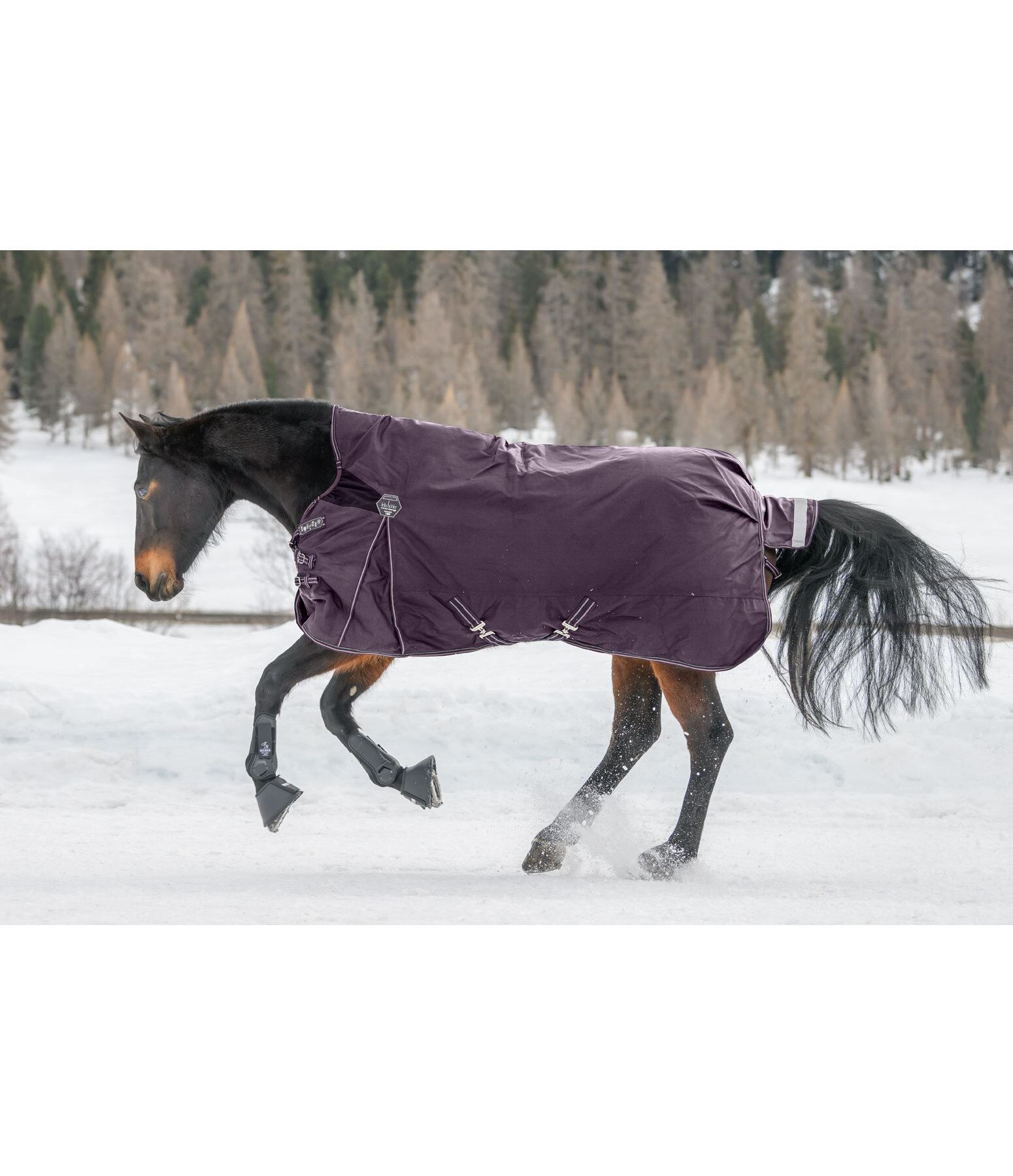 High Neck Turnout Rug Perfect Fit Nylon PRO, 0g