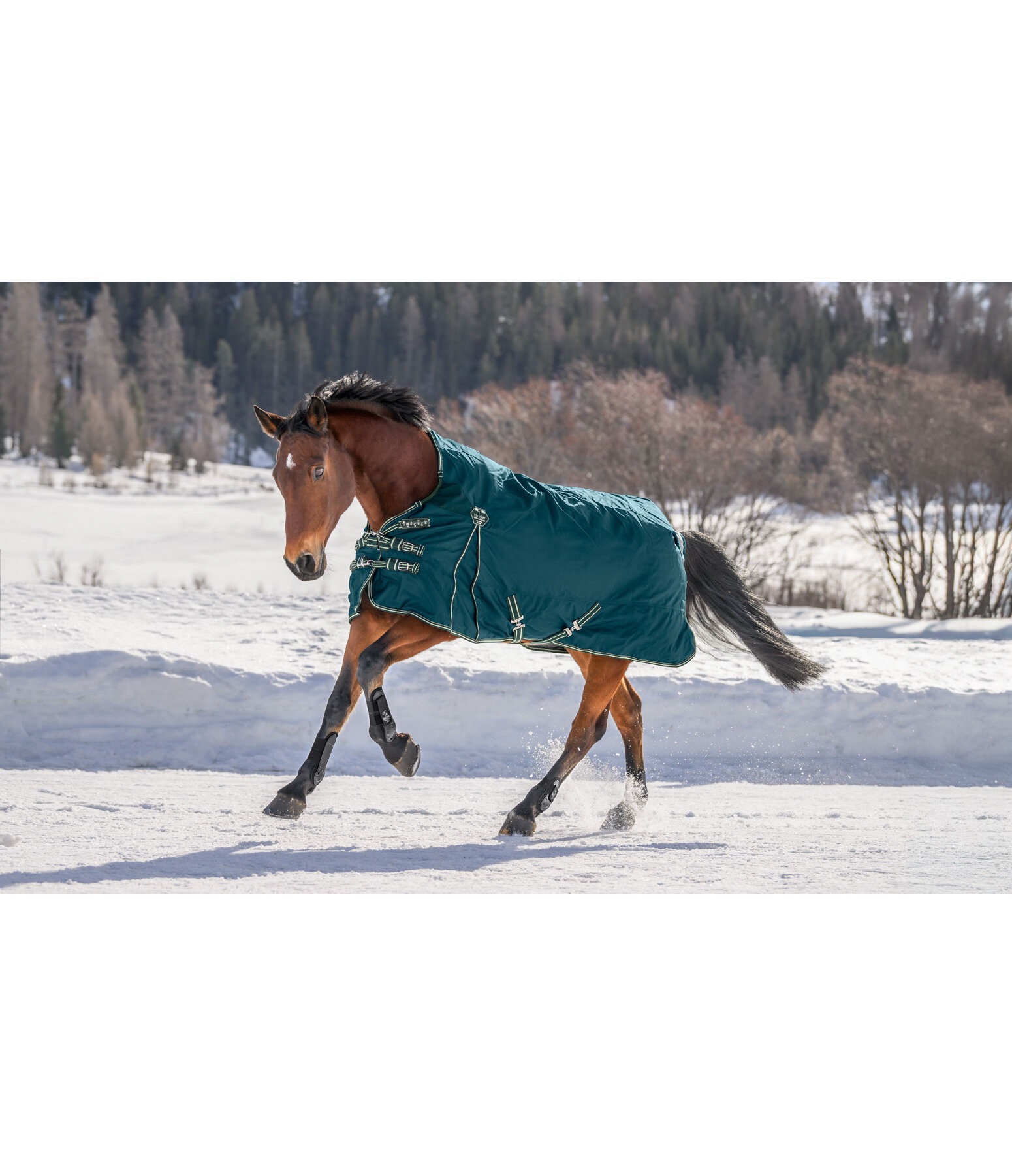 High Neck Turnout Rug Perfect Fit Nylon PRO, 0g