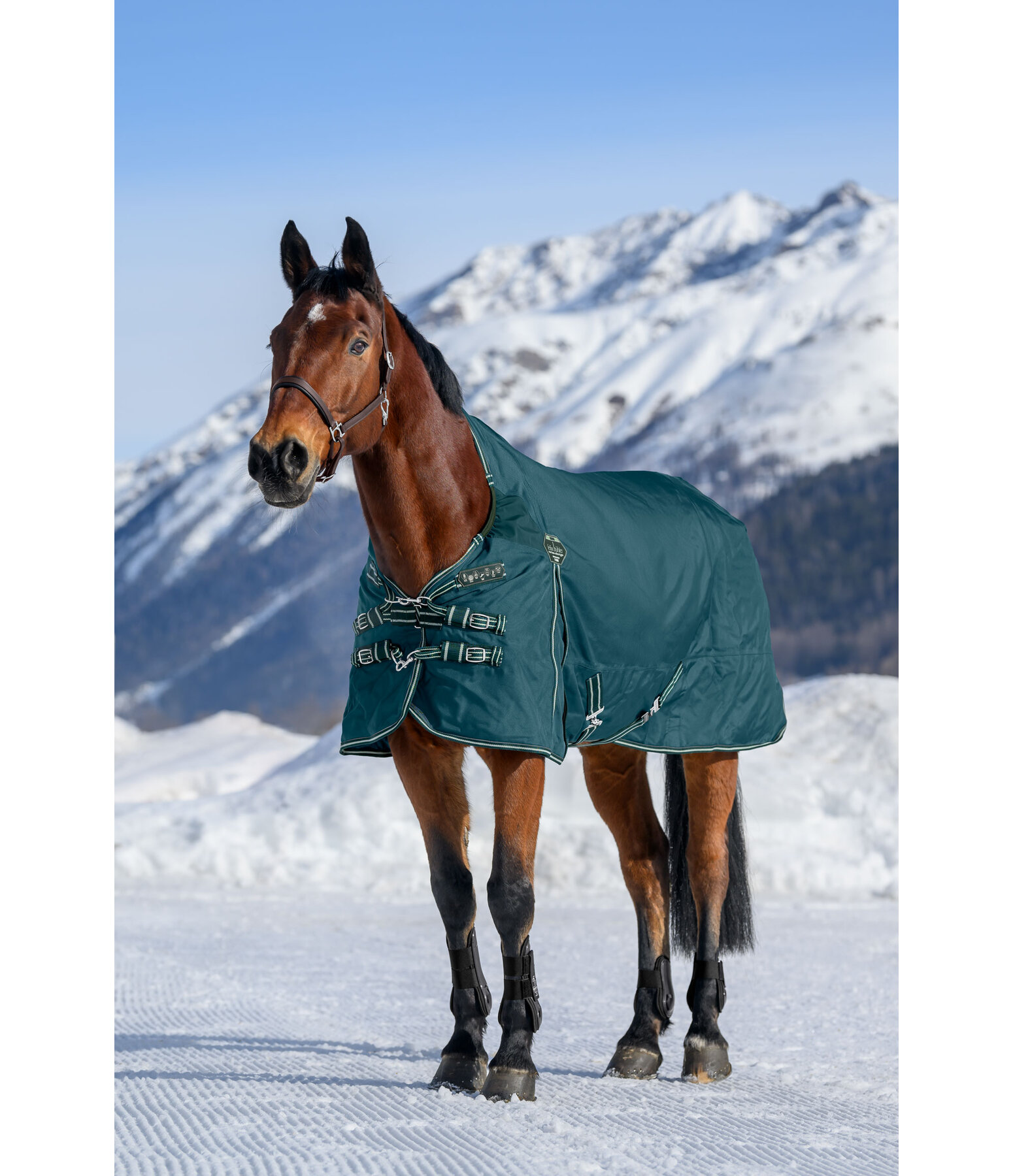 High Neck Turnout Rug Perfect Fit Nylon PRO, 0g