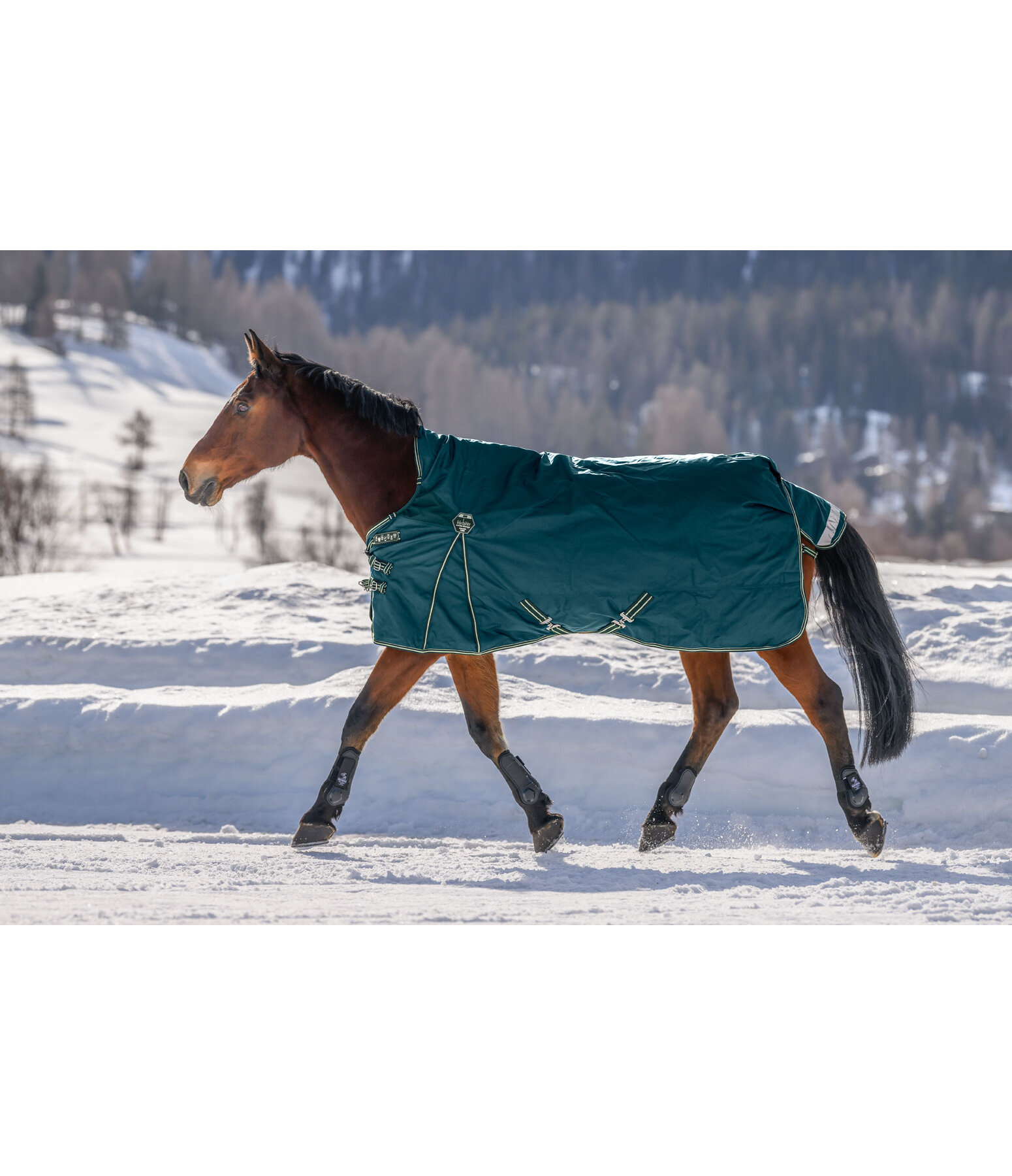 High Neck Turnout Rug Perfect Fit Nylon PRO, 0g