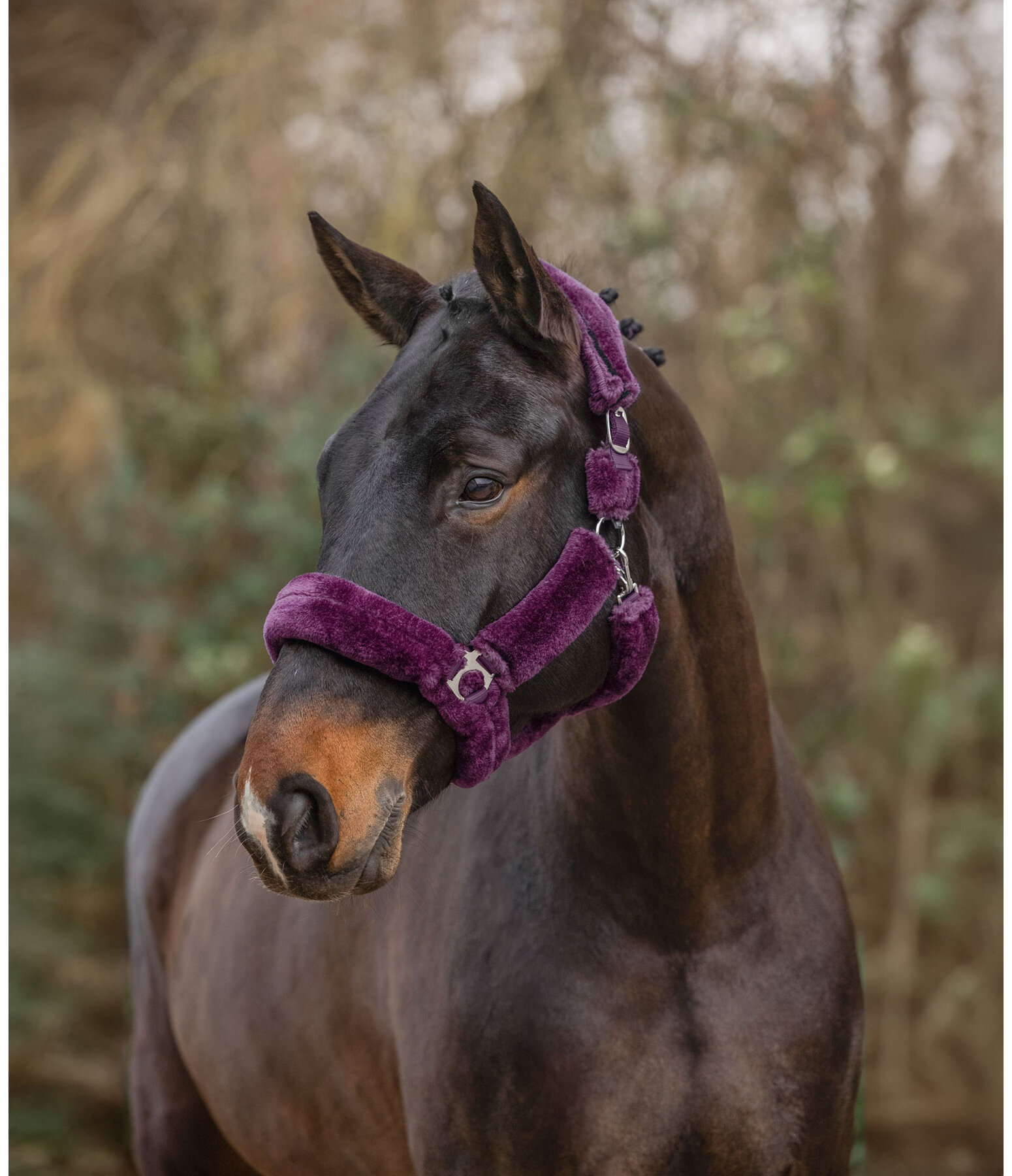 Teddy Fleece Headcollar Protection