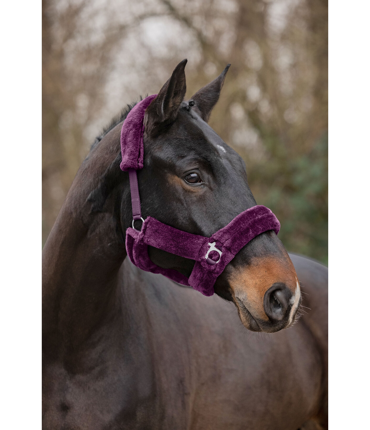 Teddy Fleece Headcollar Protection