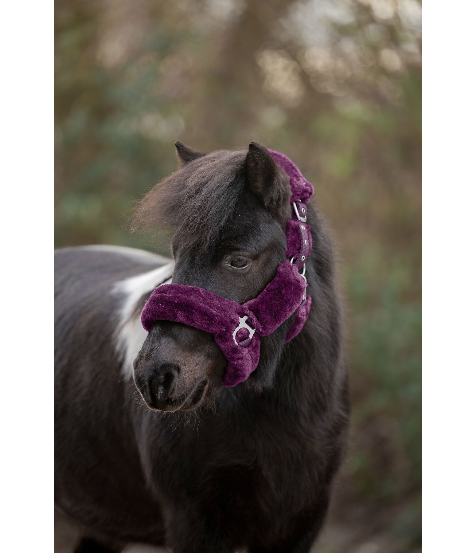 Teddy Fleece Headcollar Protection