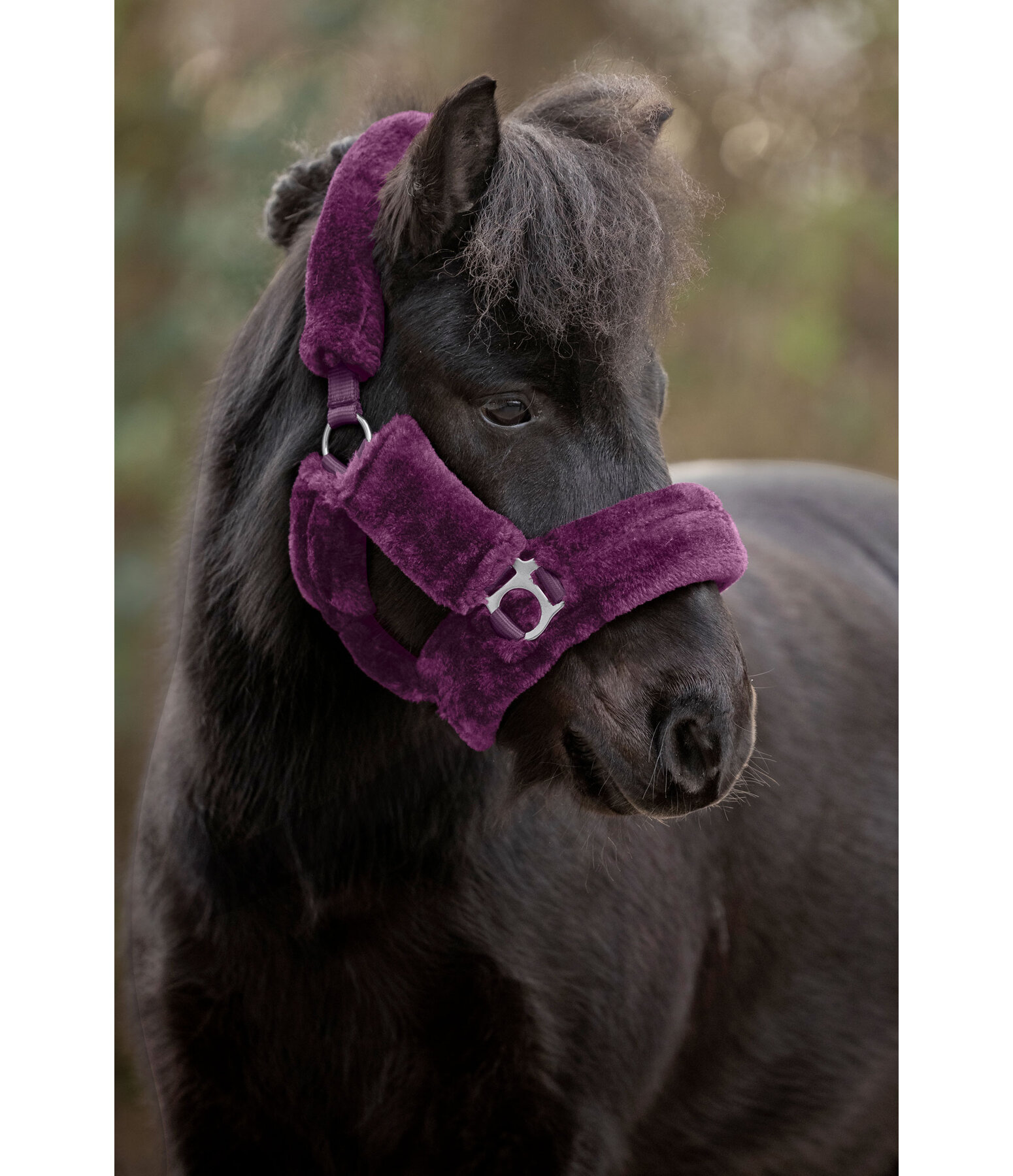 Teddy Fleece Headcollar Protection