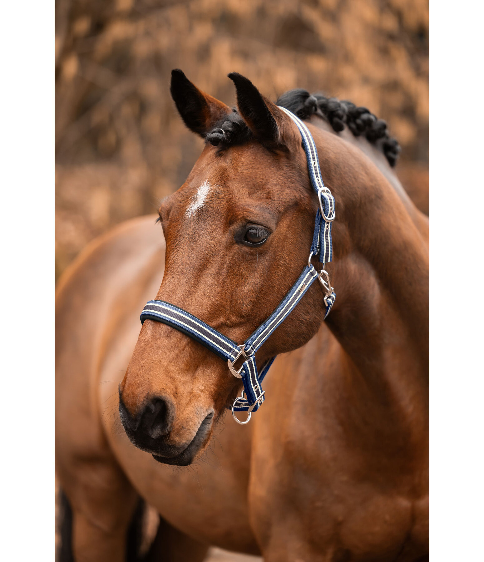 Headcollar Basic