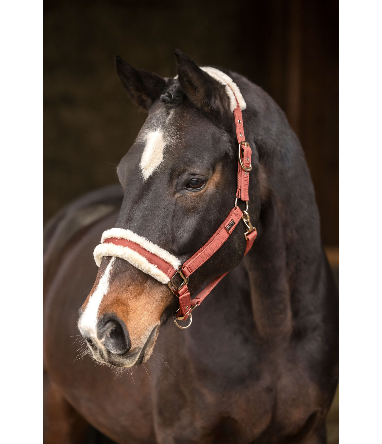 Headcollar Sparkling II