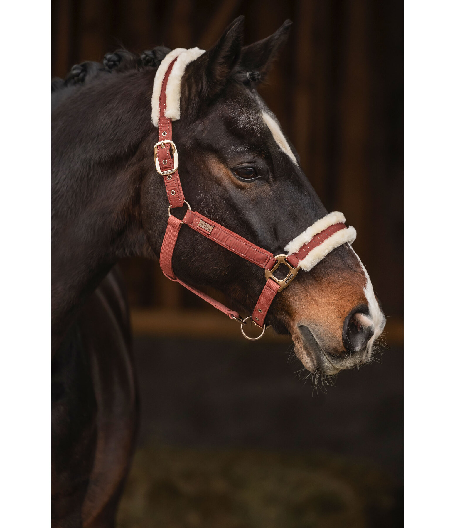 Headcollar Sparkling II