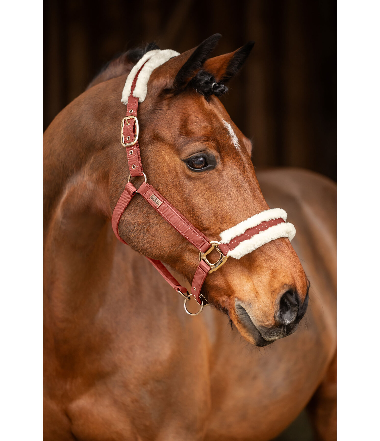 Headcollar Sparkling II