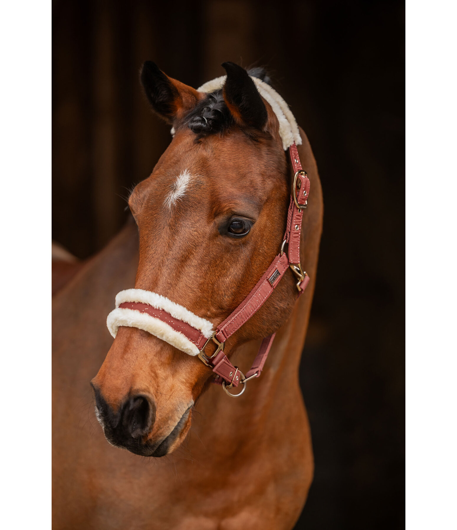 Headcollar Sparkling II