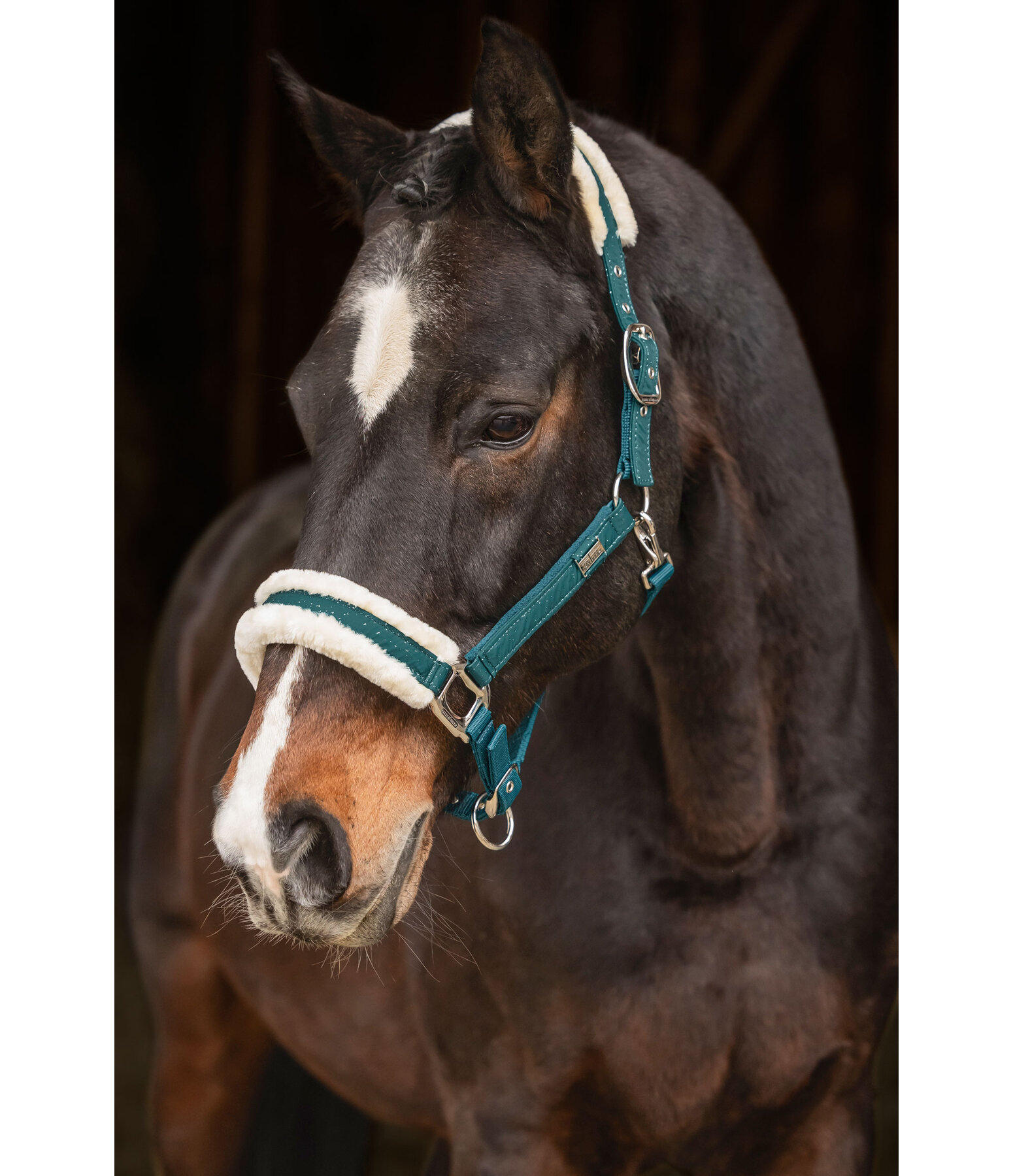 Headcollar Sparkling II