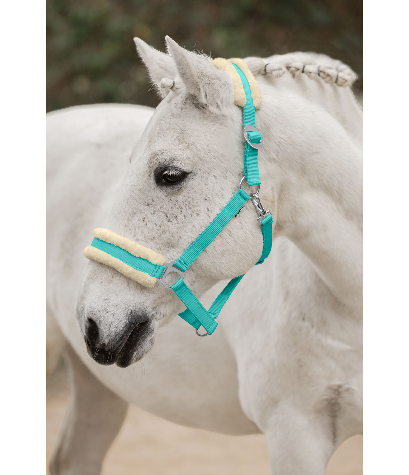 Teddy Fleece Headcollar Super Price III