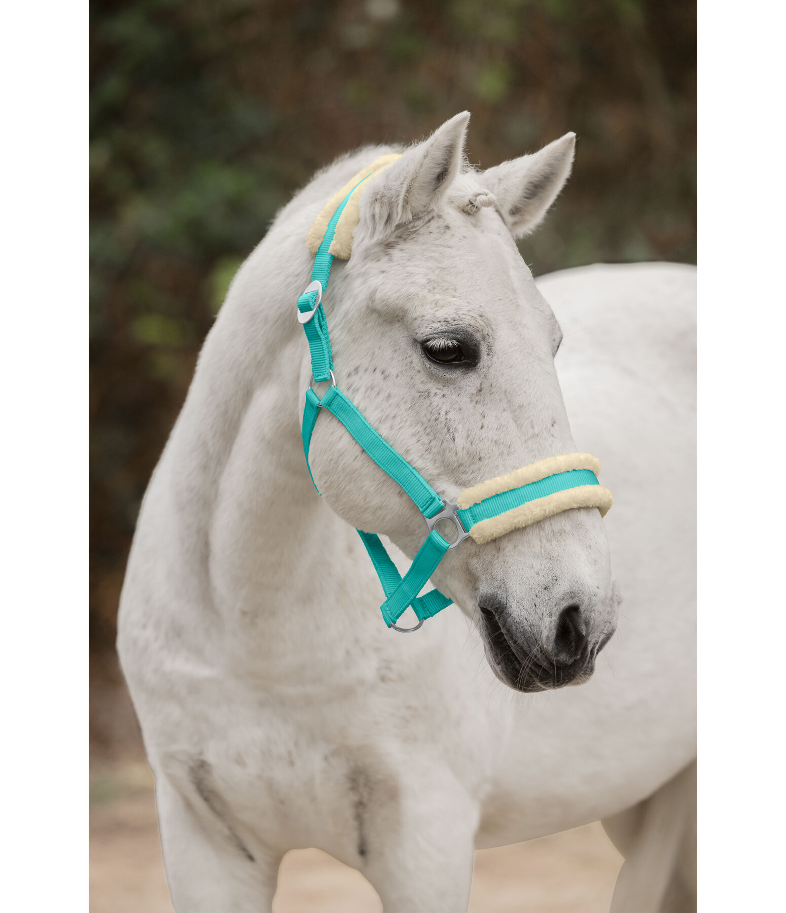 Teddy Fleece Headcollar Super Price III