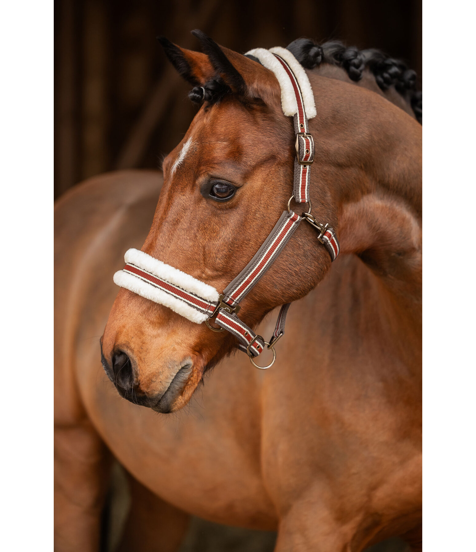 Teddy Fleece Headcollar Essential II