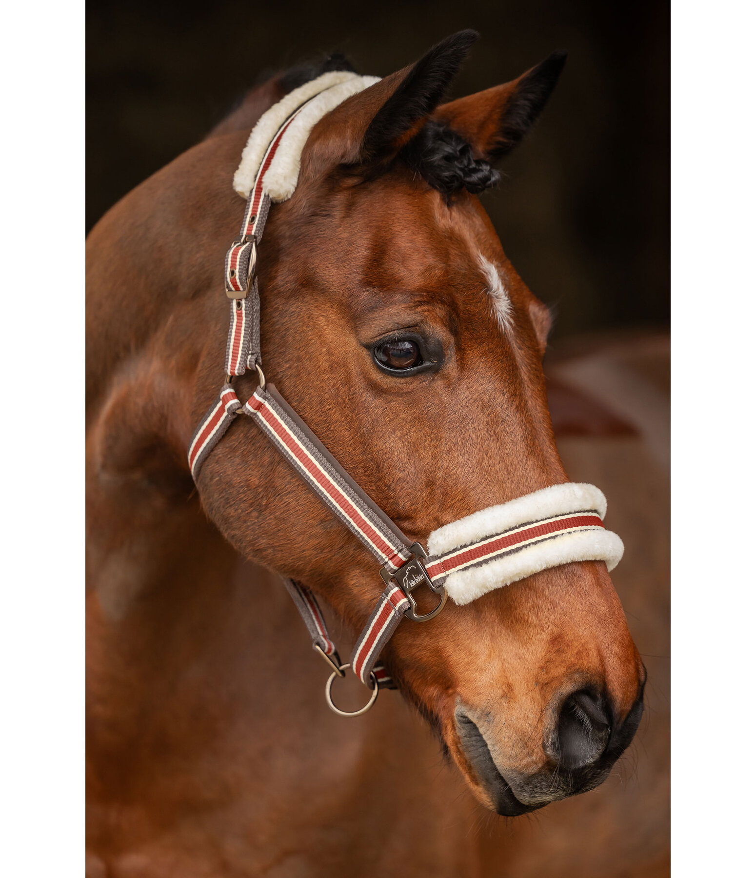 Teddy Fleece Headcollar Essential II