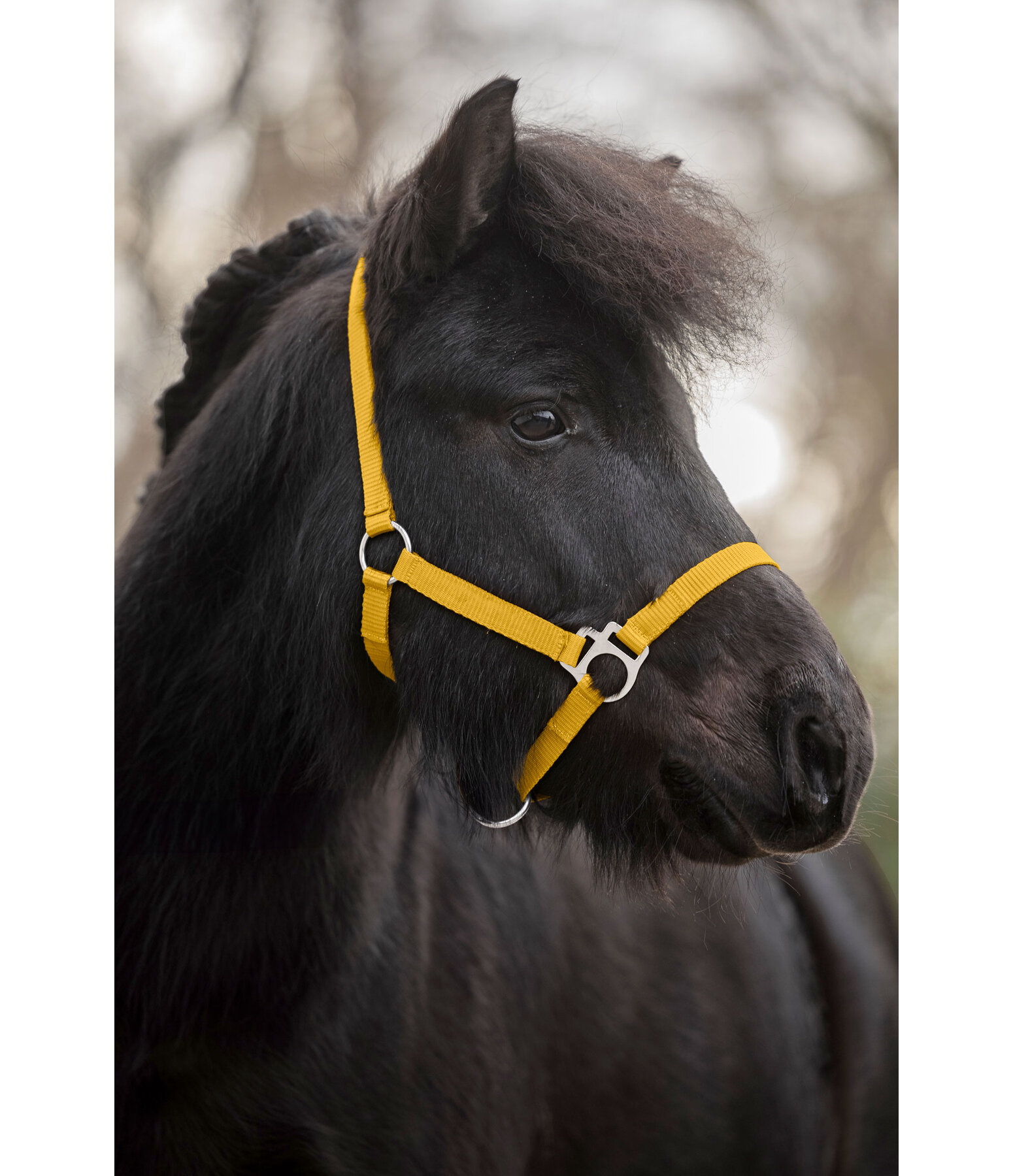 Foal and Shetland Pony Headcollar Grow With You