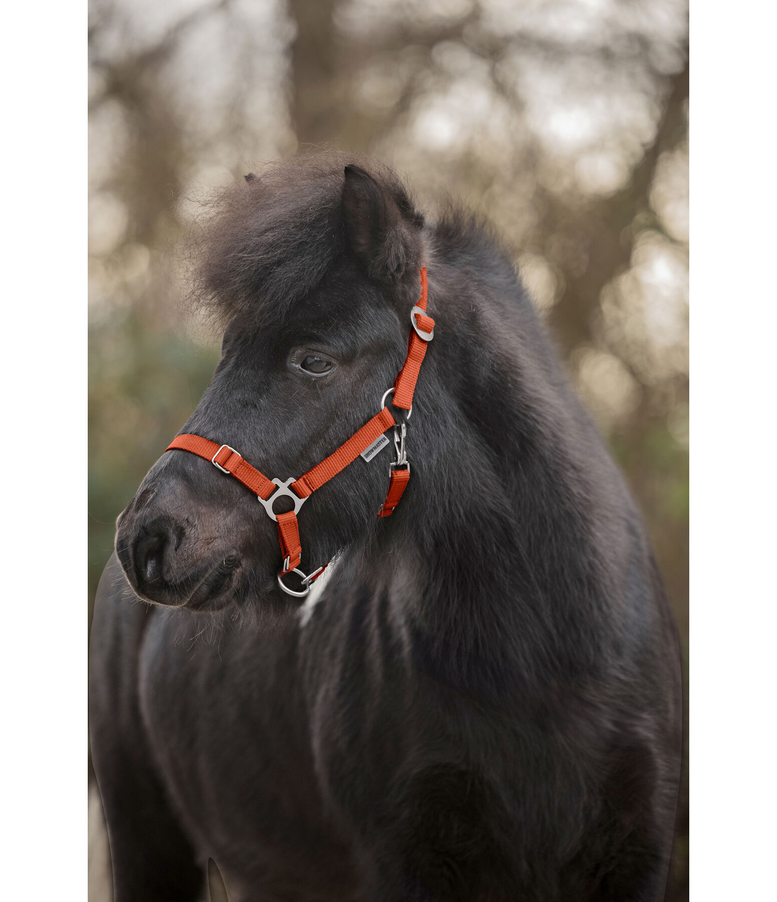 Foal and Shetland Pony Headcollar Grow With You