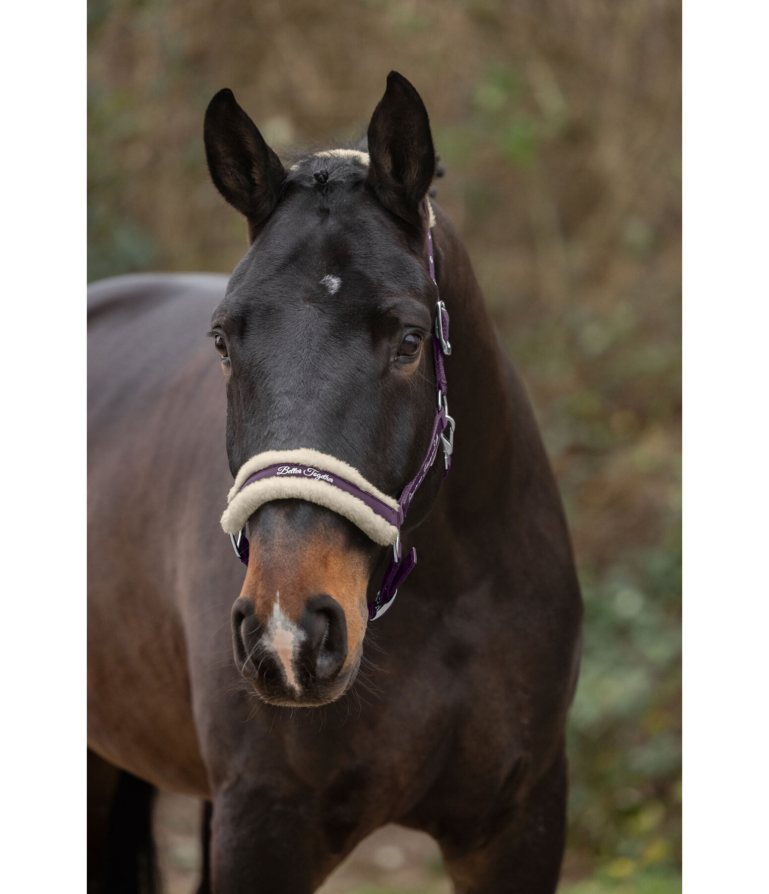 Teddy Fleece Headcollar Better Together