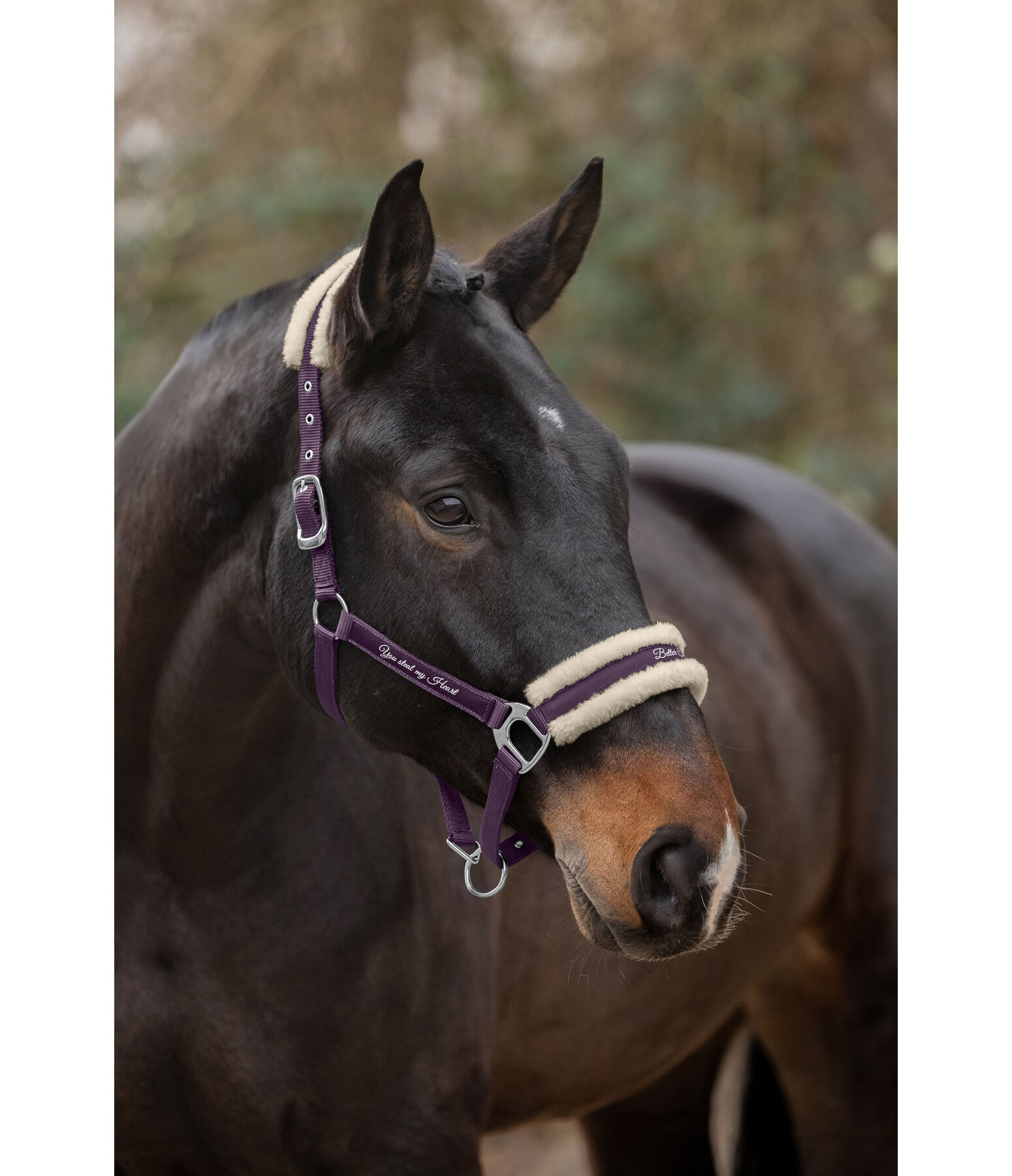 Teddy Fleece Headcollar Better Together