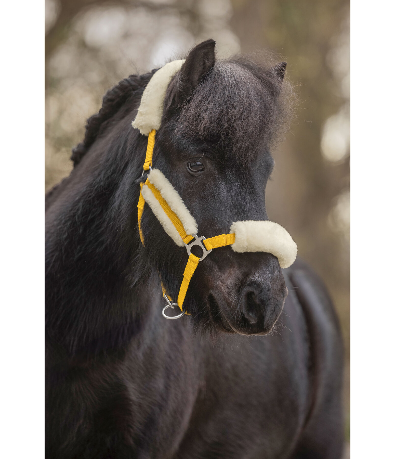 Foal & Shetland Pony Teddy Fleece Headcollar Cozy Adjustable