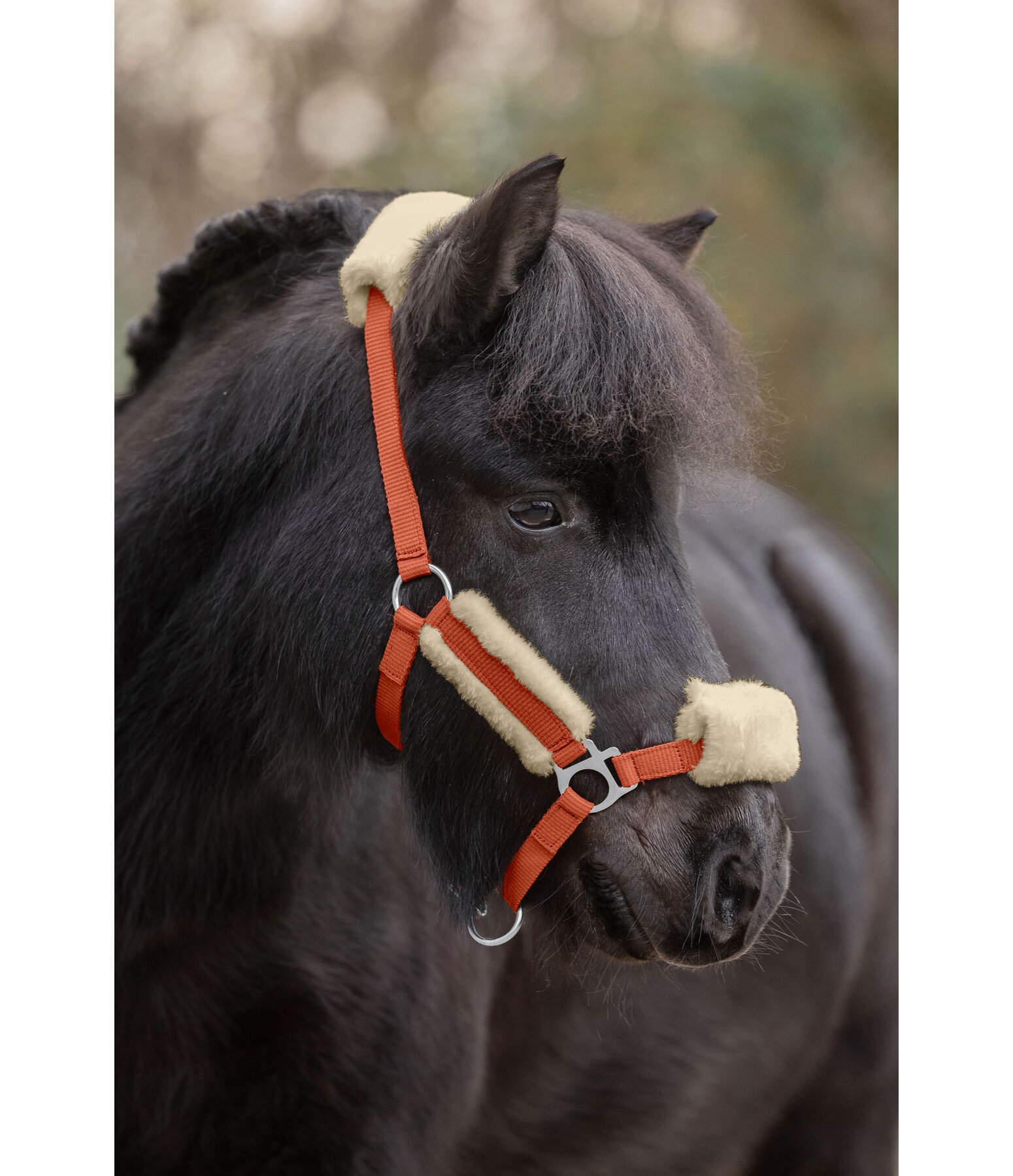 Foal & Shetland Pony Teddy Fleece Headcollar Cozy Adjustable