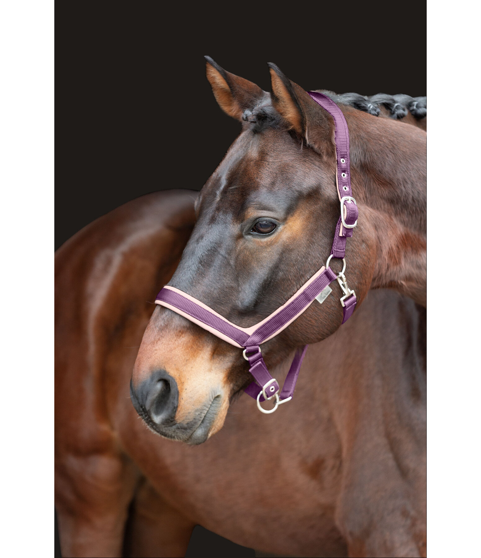 Headcollar Anatomical Relaxation