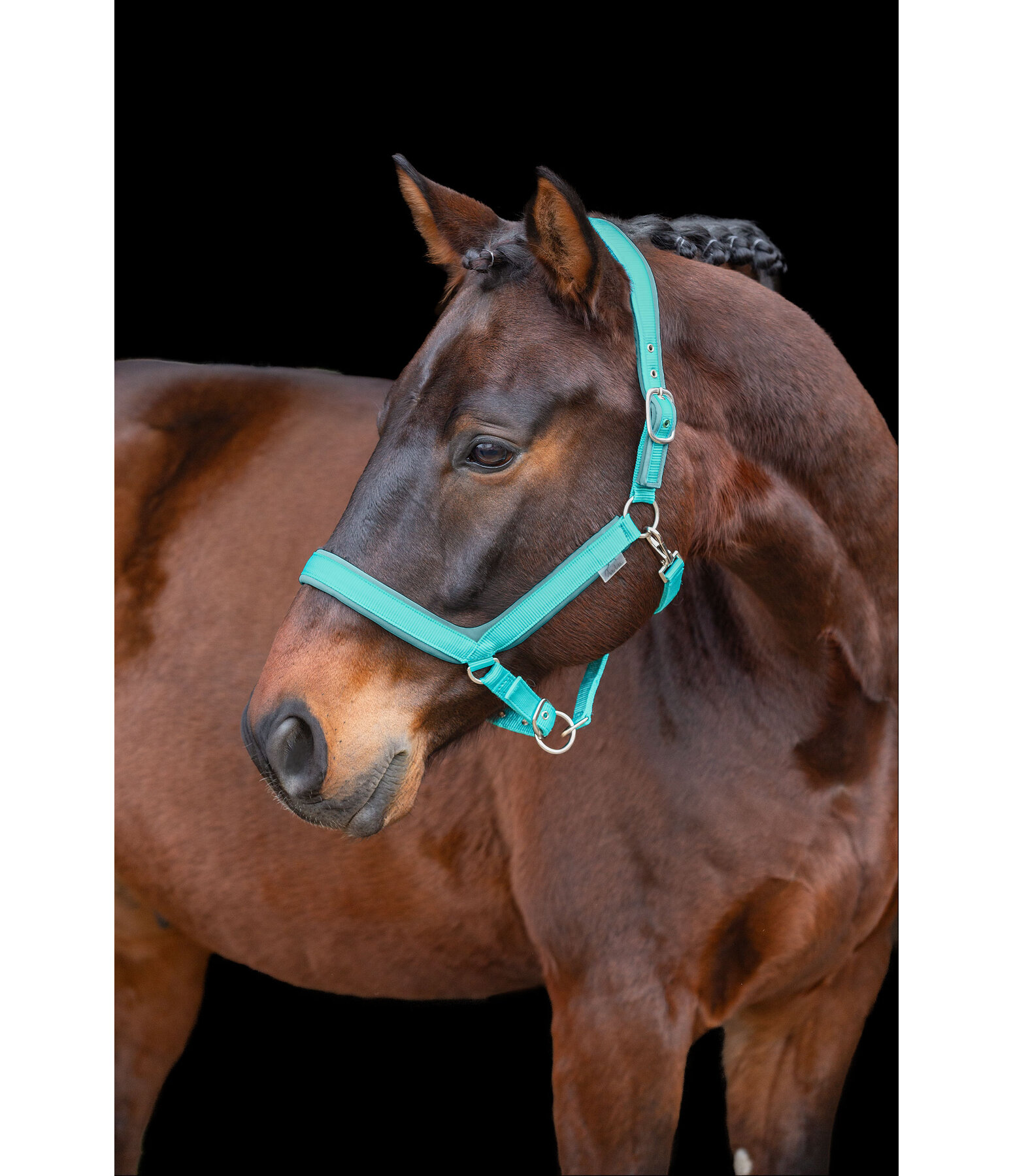 Headcollar Anatomical Relaxation