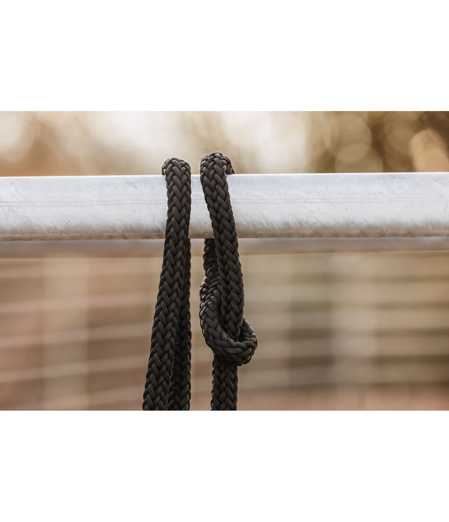 Lead Rope with loop and without snap hook