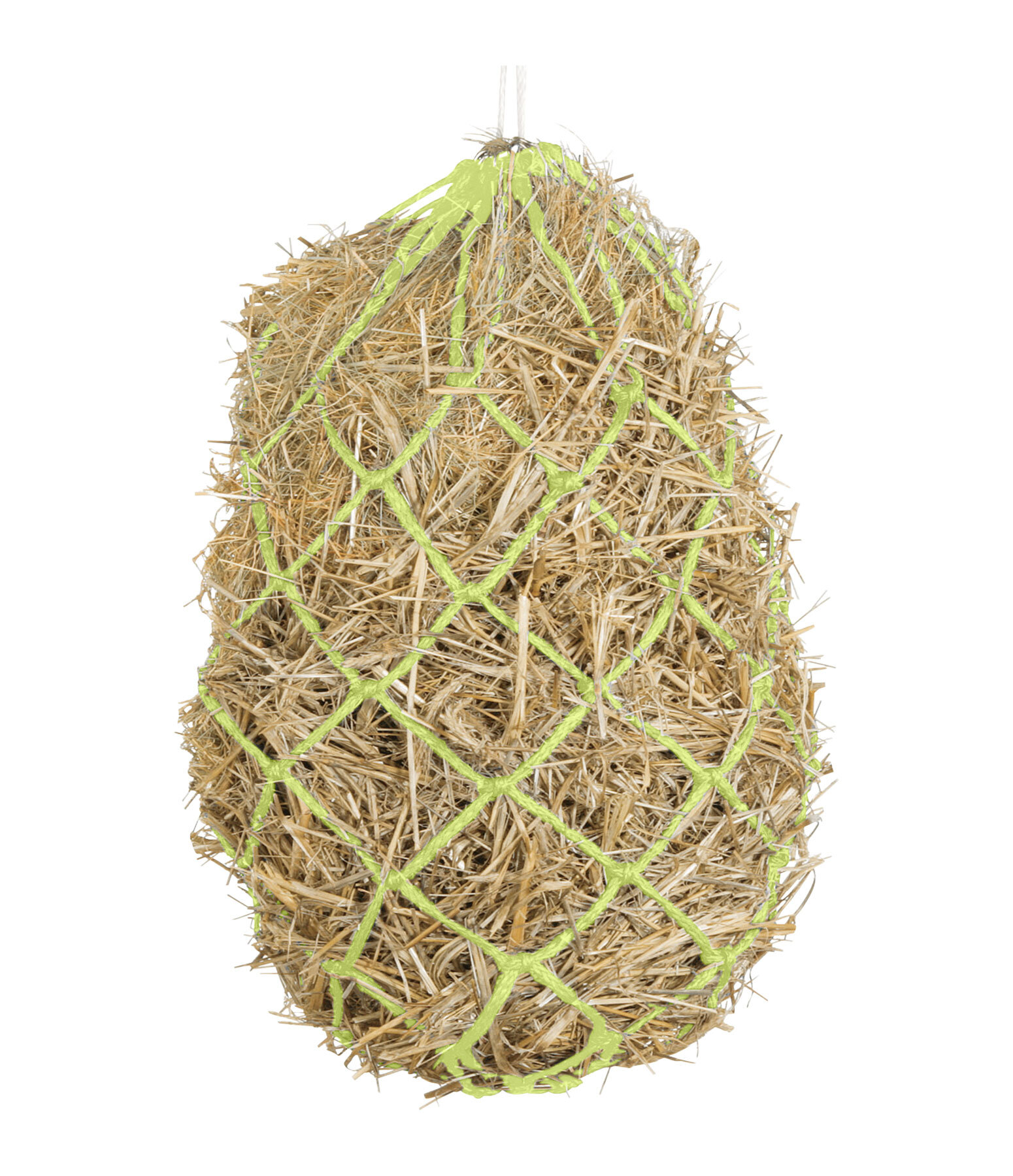 Haynet