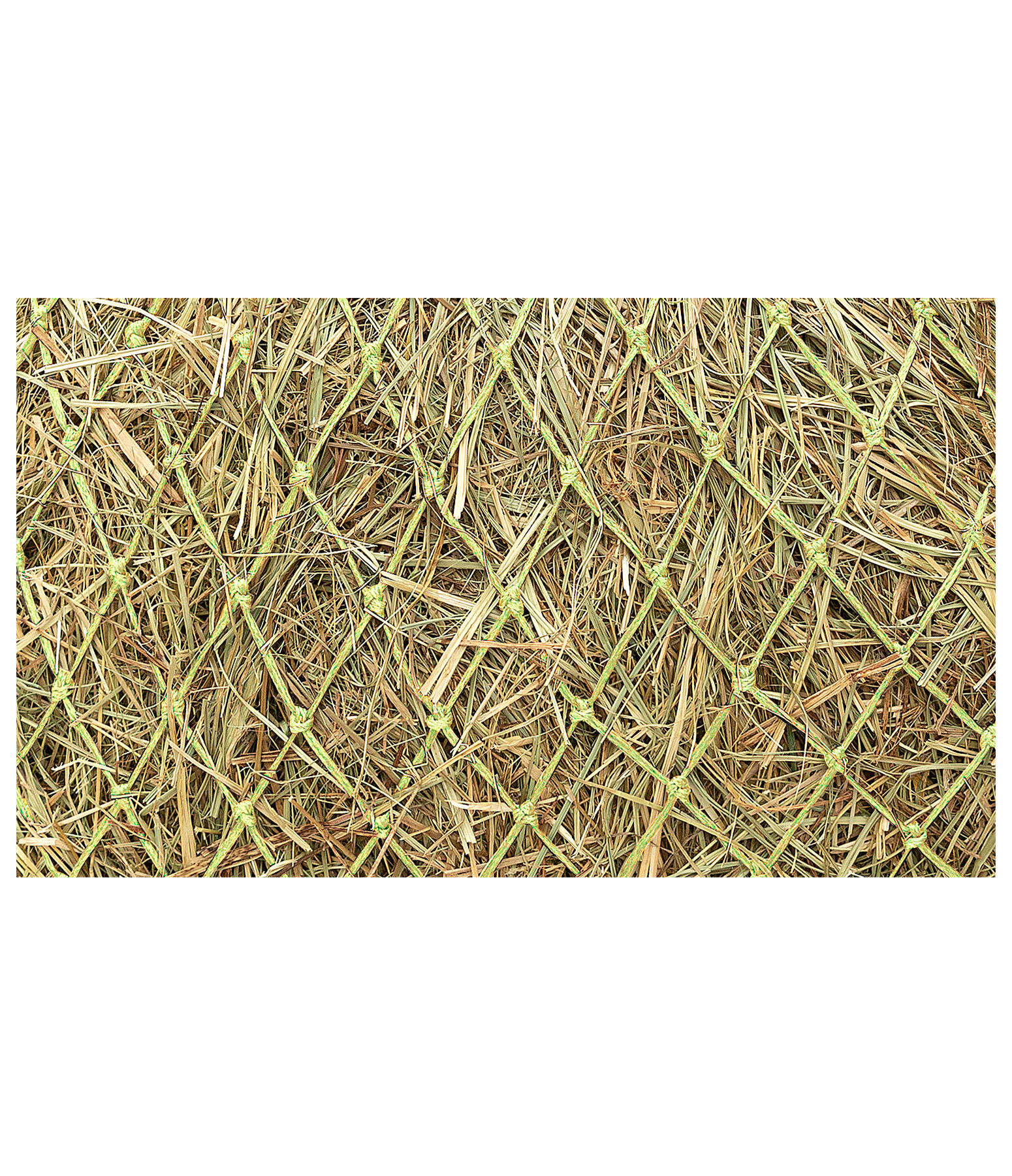 Large Haynet Tight Mesh