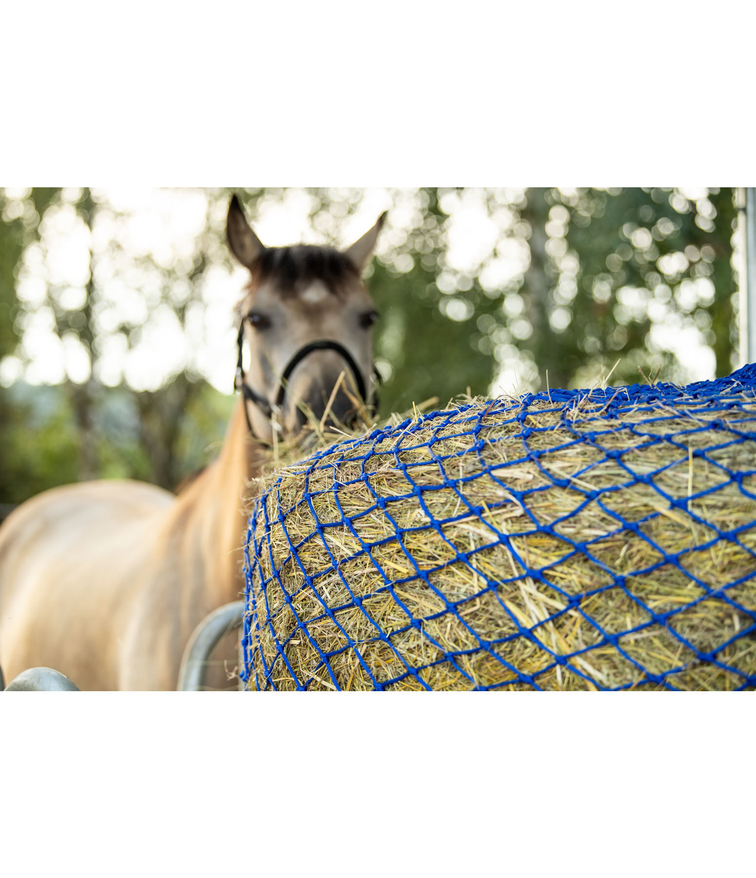 Round Bale Haynet