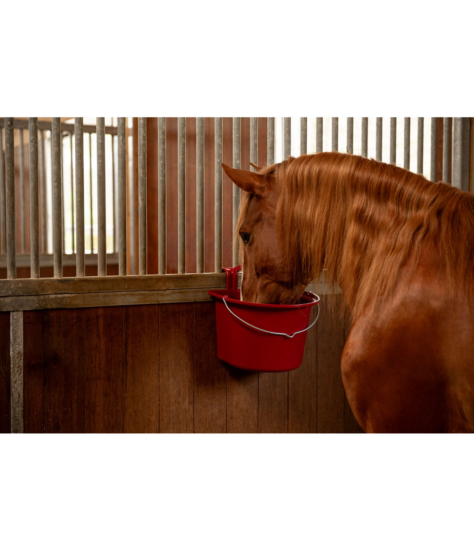 Feed Bucket Competition