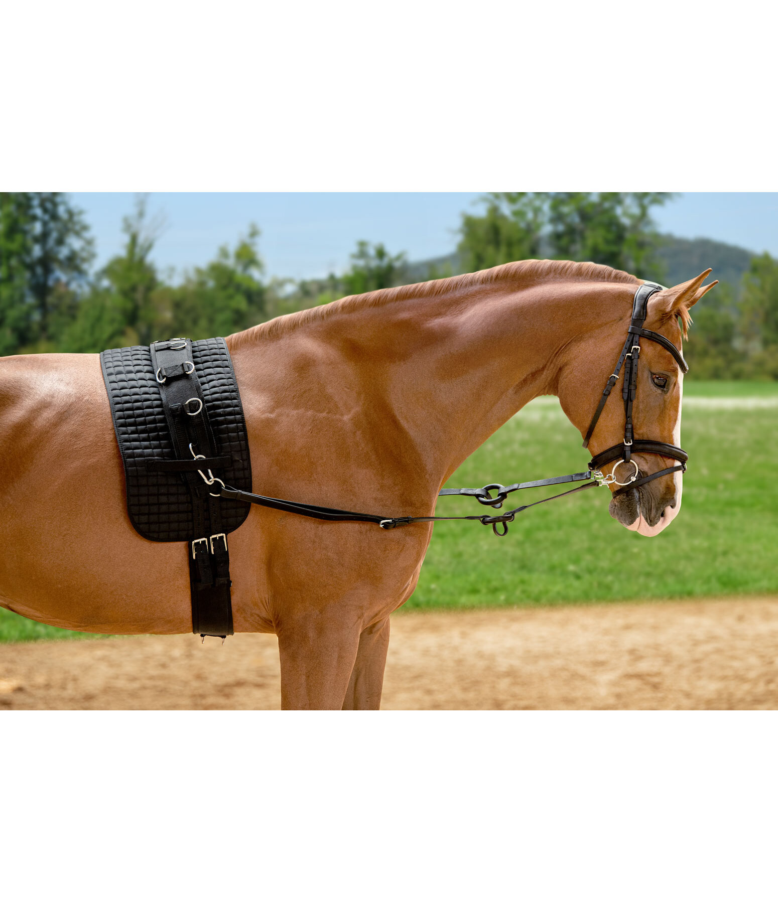 Leather Side Reins with Rubber Rings