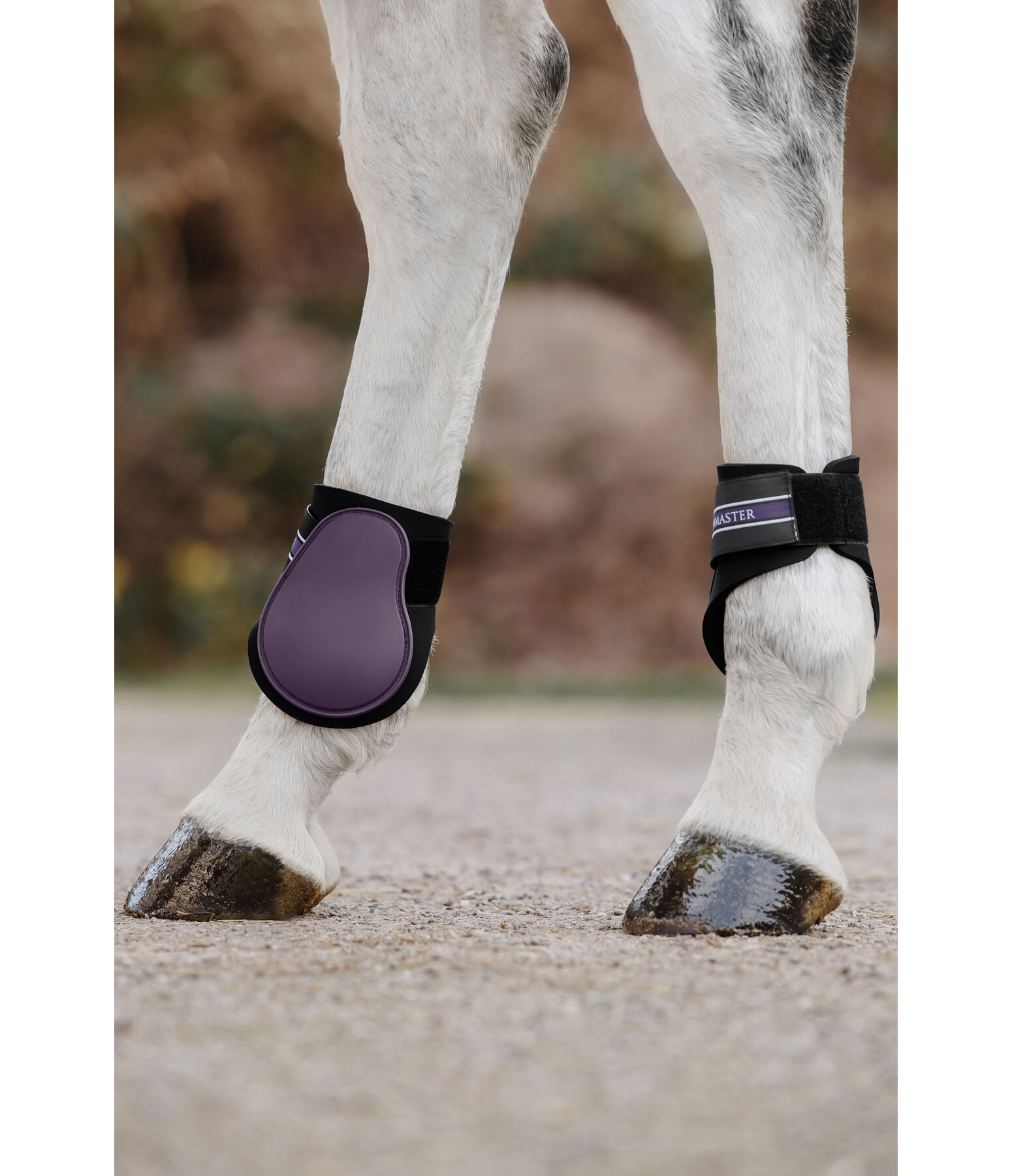 Fetlock Boots