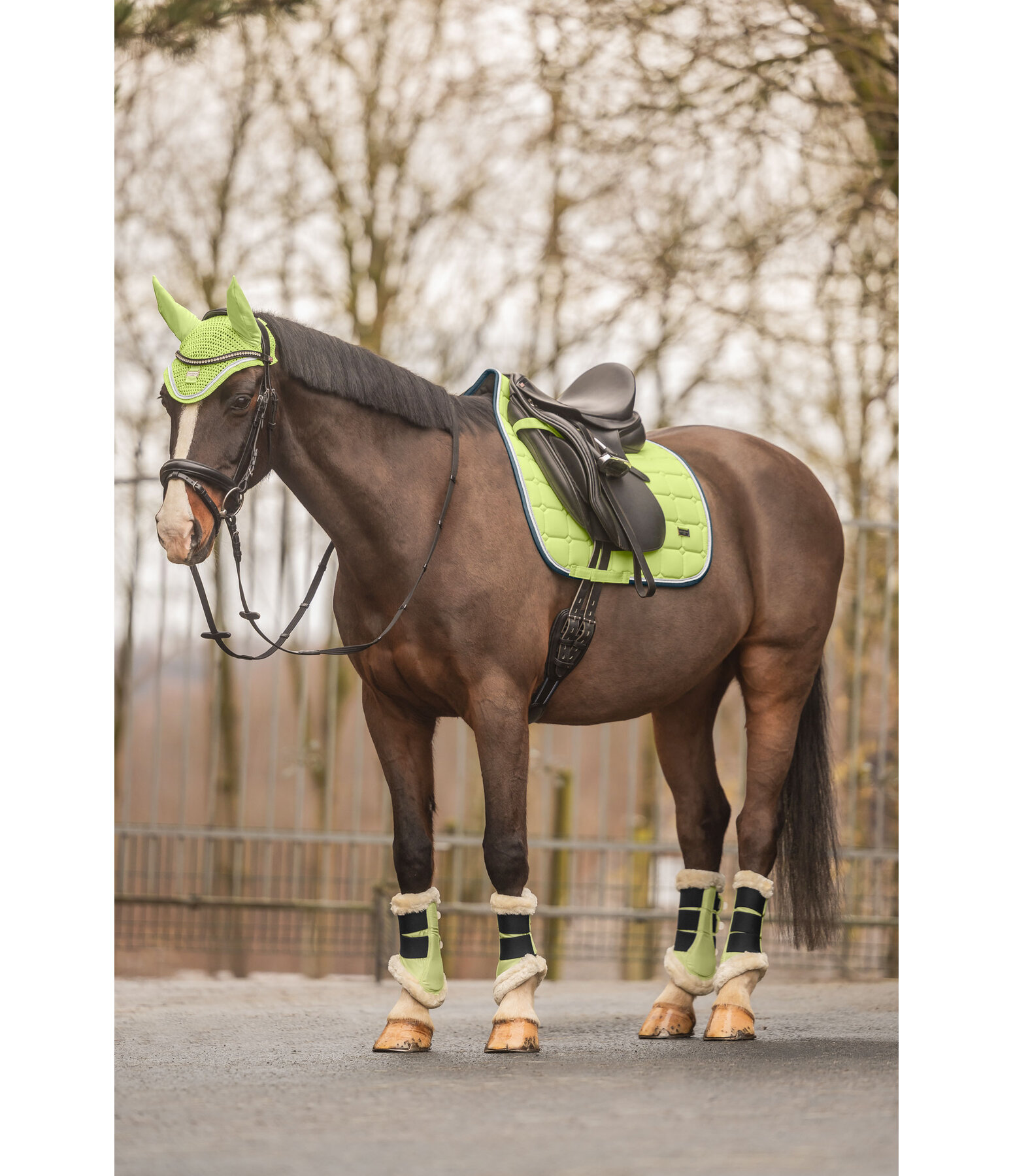 Teddy Fleece Dressage Boots Essential, front legs