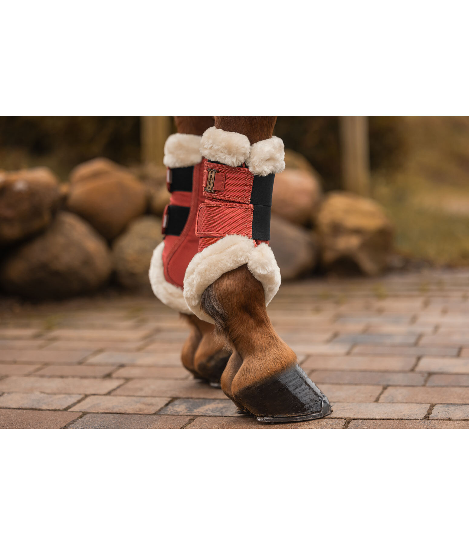 Teddy Fleece Dressage Boots Essential, front legs