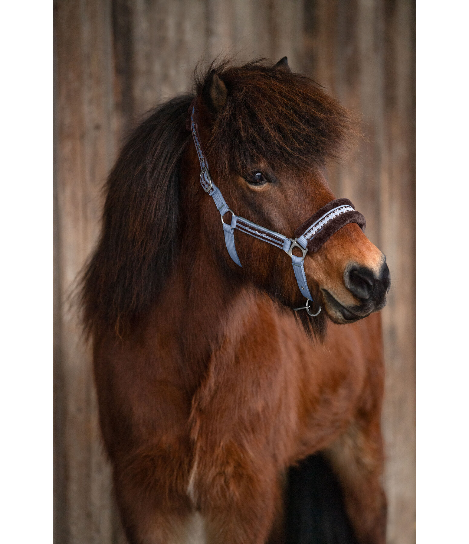 Teddy Fleece Headcollar Norwegian Spirit