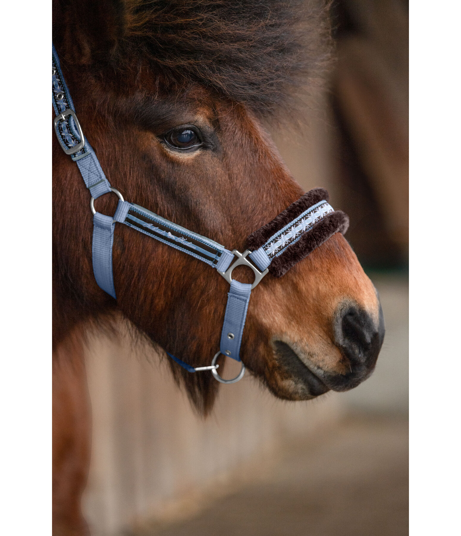 Teddy Fleece Headcollar Norwegian Spirit