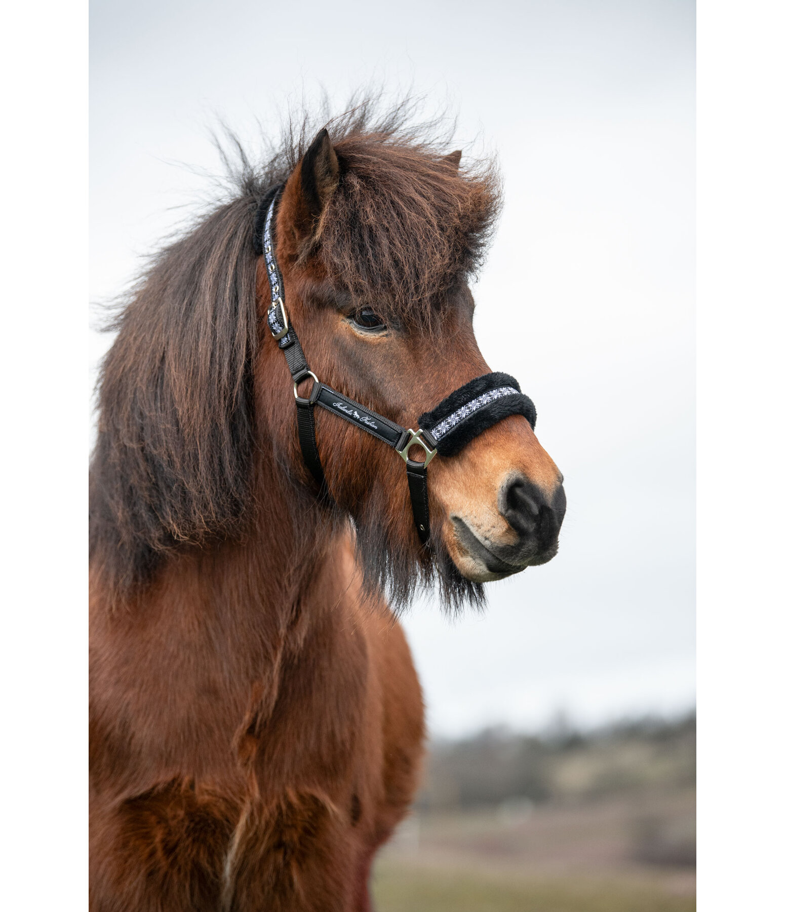 Teddy Fleece Headcollar Norwegian Spirit