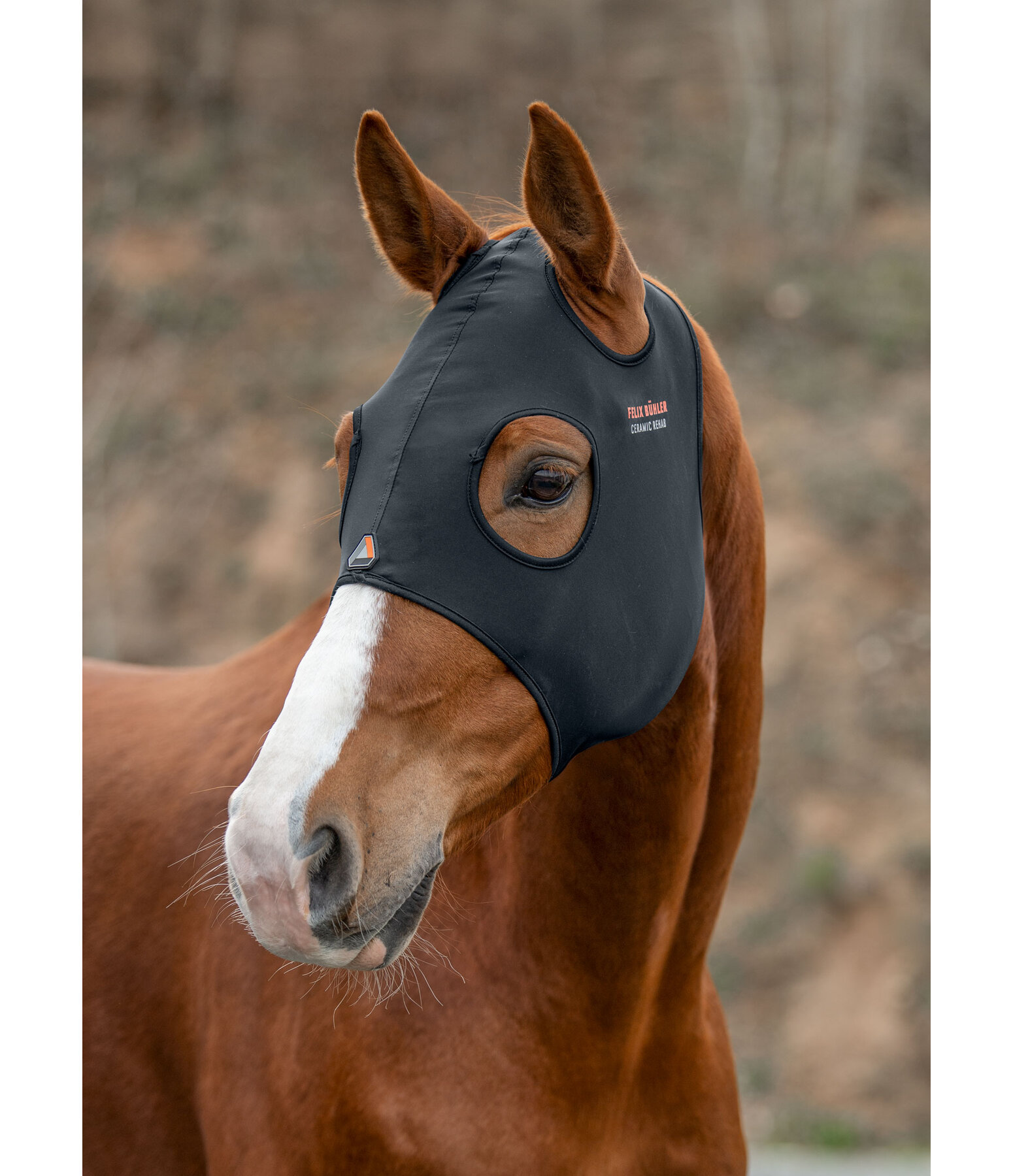 Comfort Mask for Horses Earless Ceramic Rehab