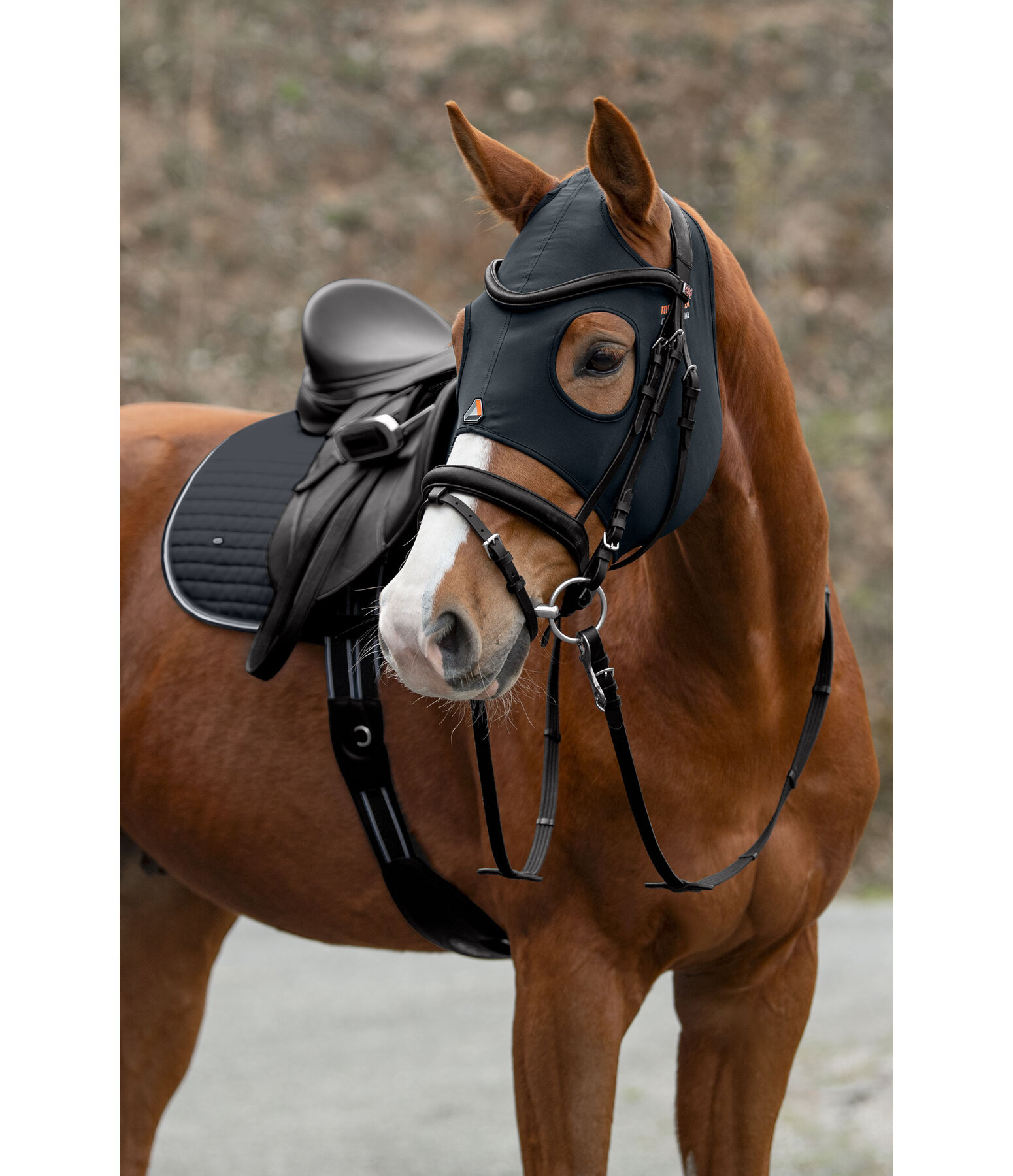 Comfort Mask for Horses Earless Ceramic Rehab