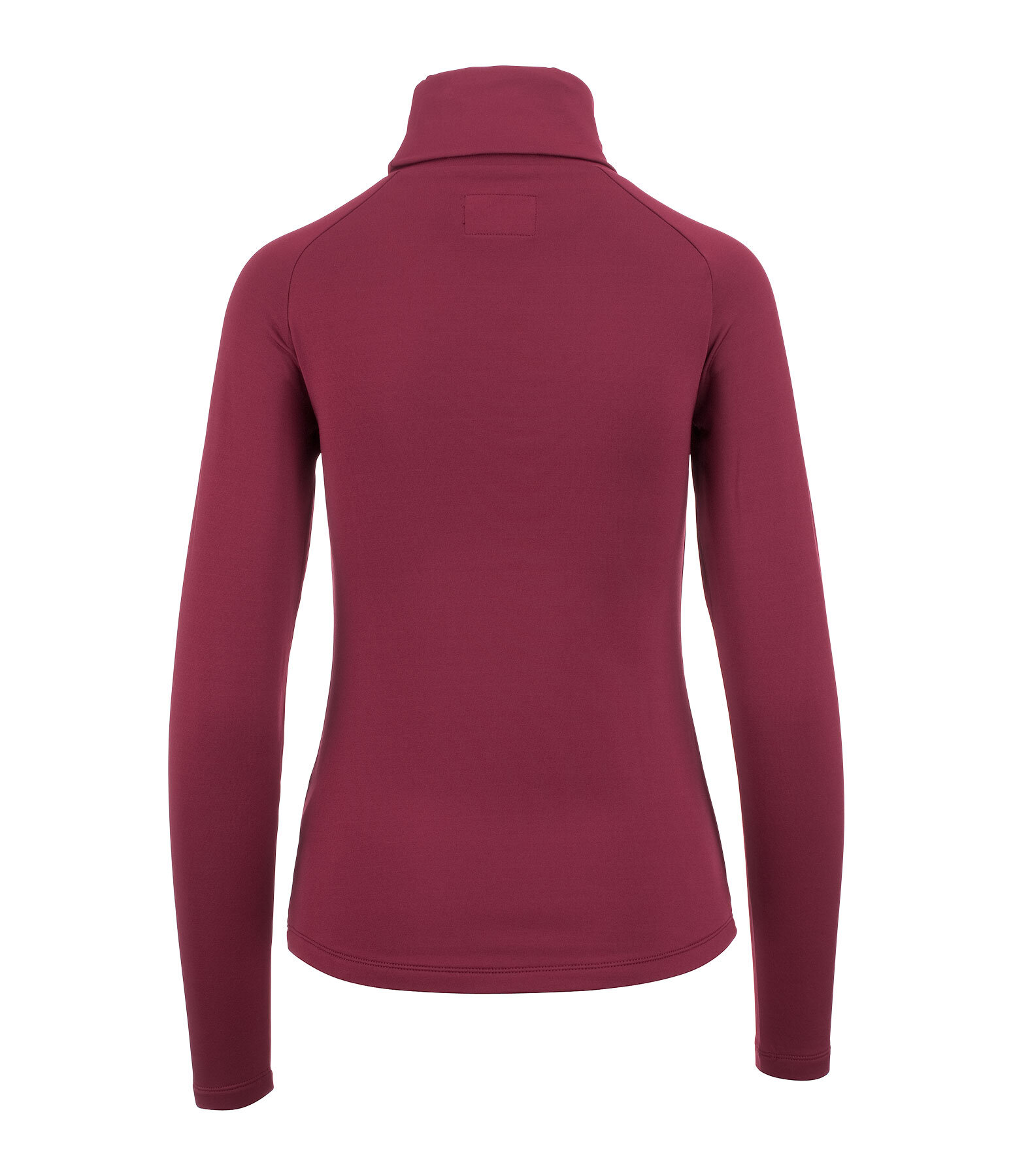 Performance Stretch Turtleneck Shirt Phoebe