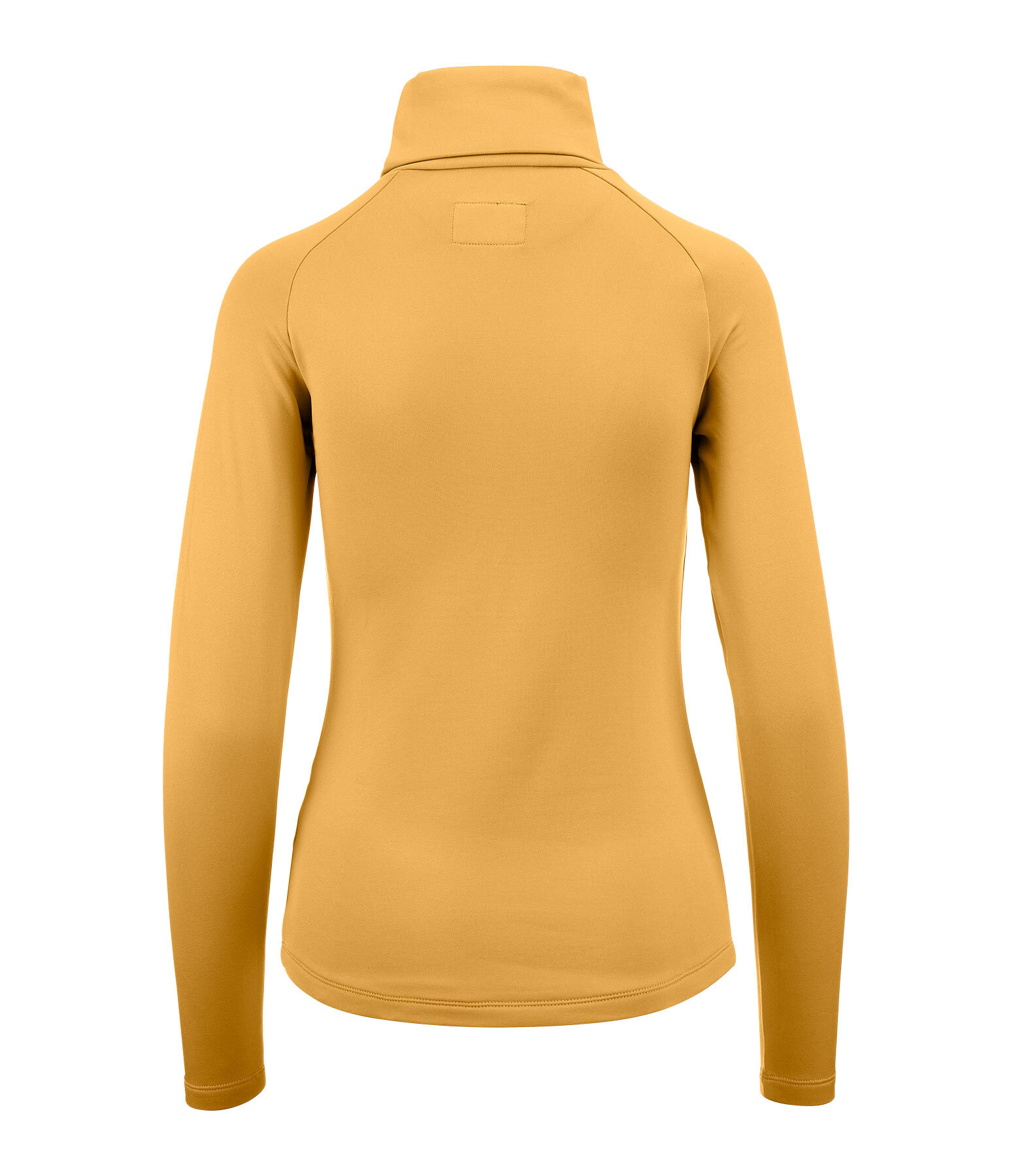 Performance Stretch Turtleneck Shirt Phoebe